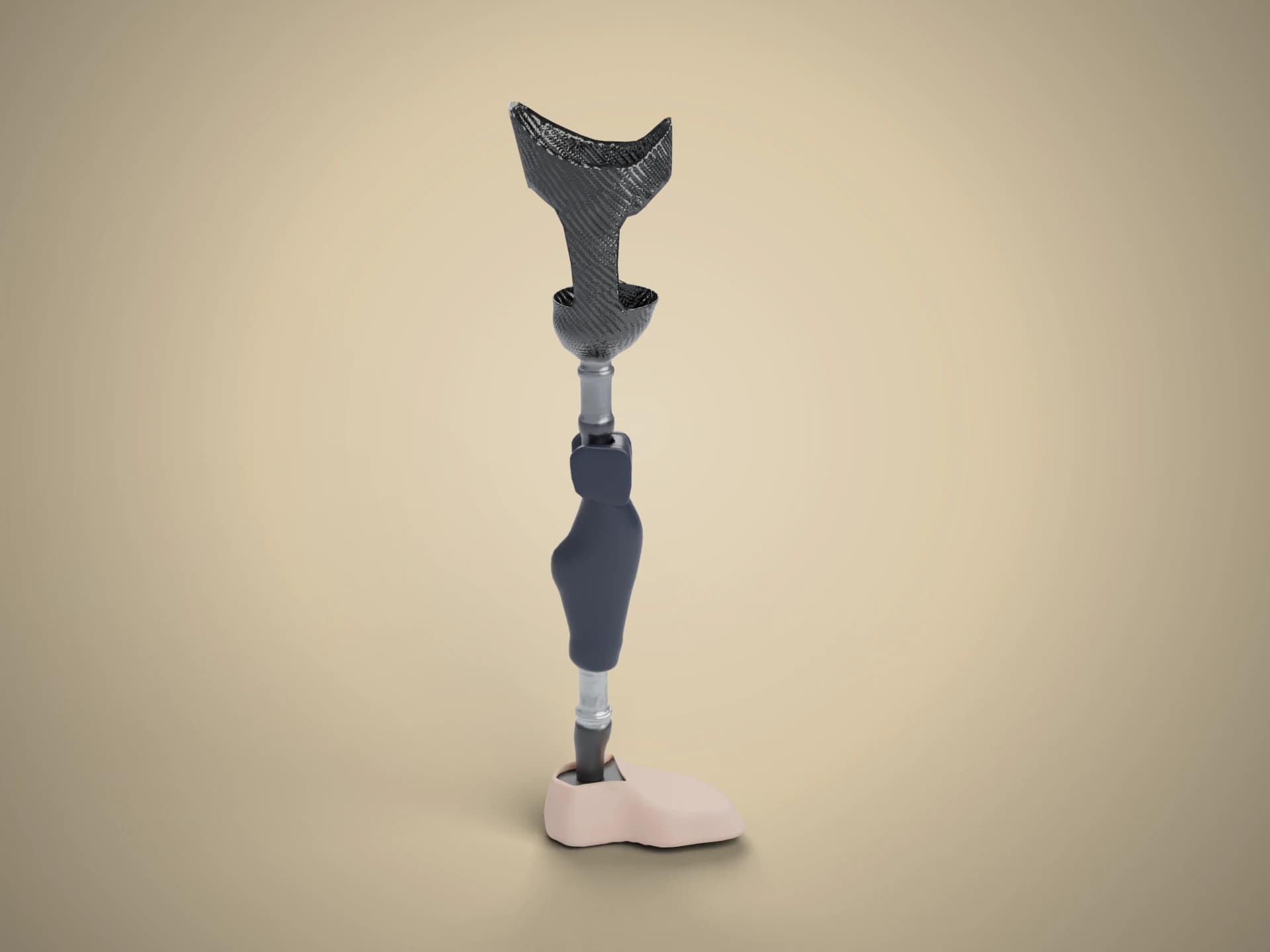 Prosthetic Lower Leg 3D Model