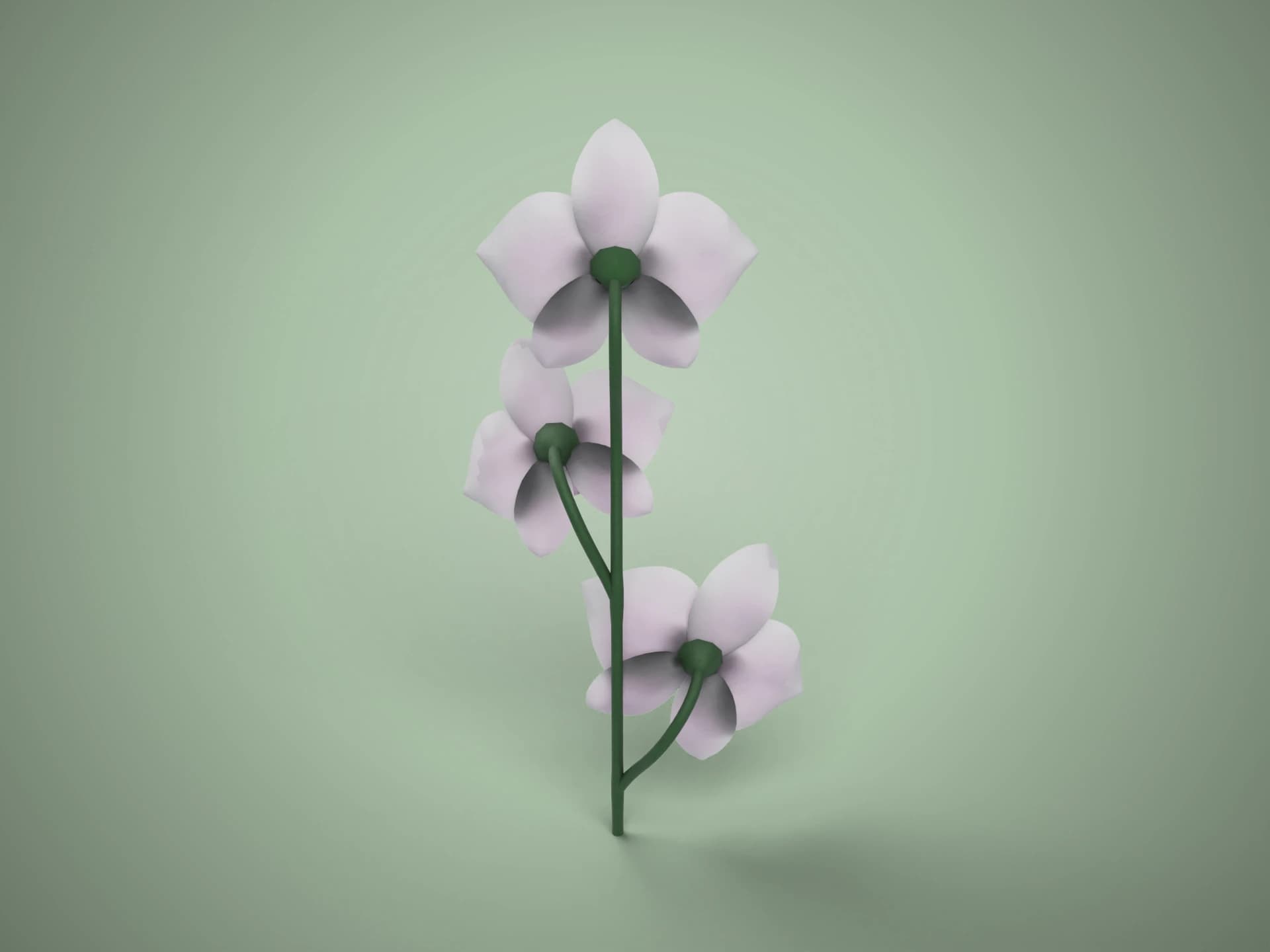 Pink Moth Orchid Flower Stem 3D Model