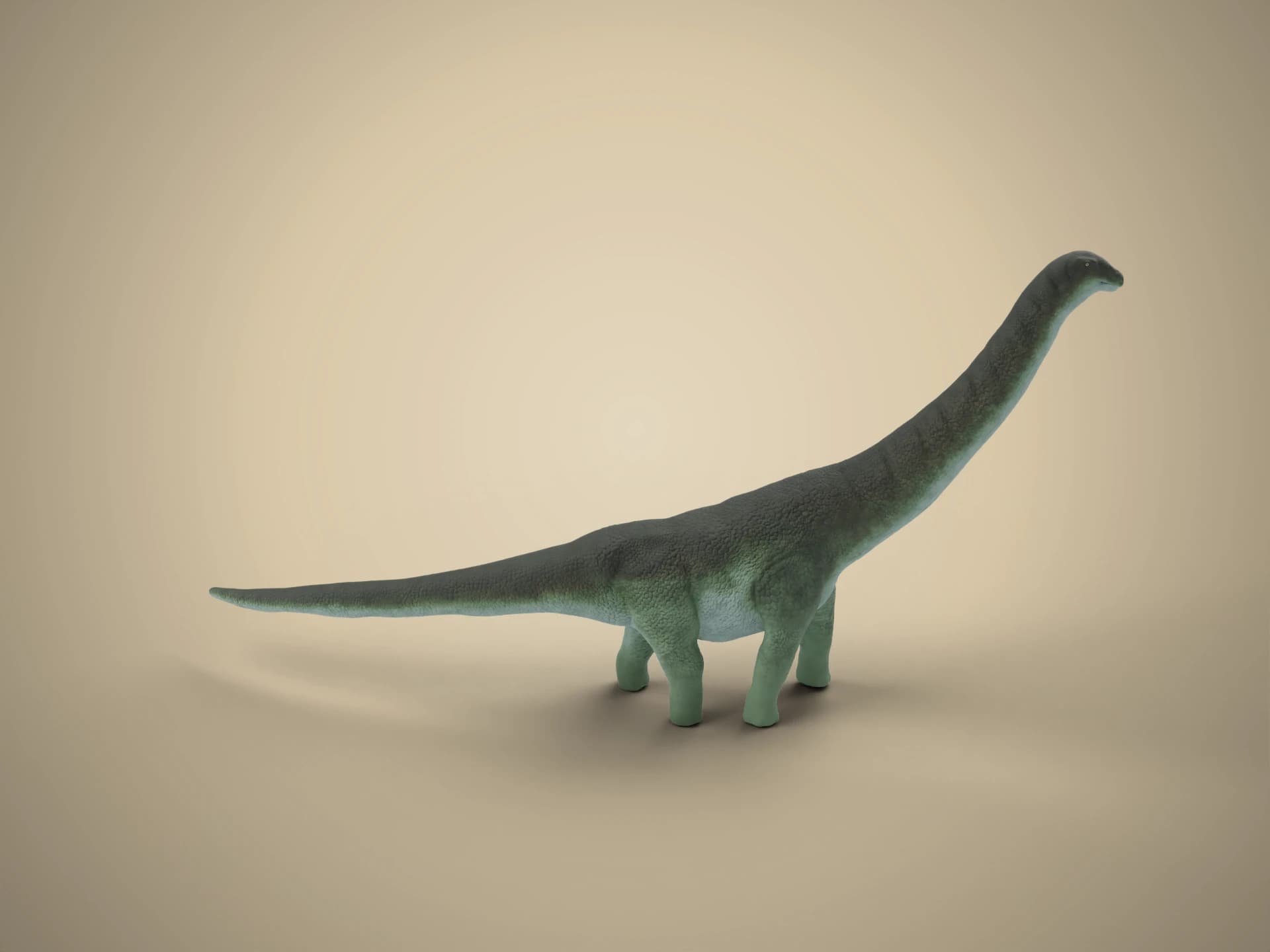 Animated Argentinosaurus Sauropod 3D Model