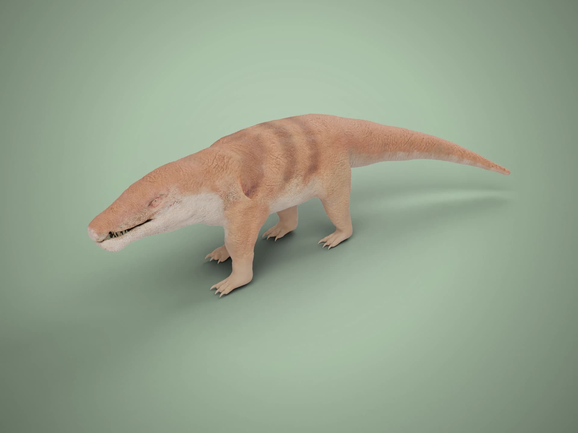 Baurusuchus Prehistoric Crocodile Animated 3D Model