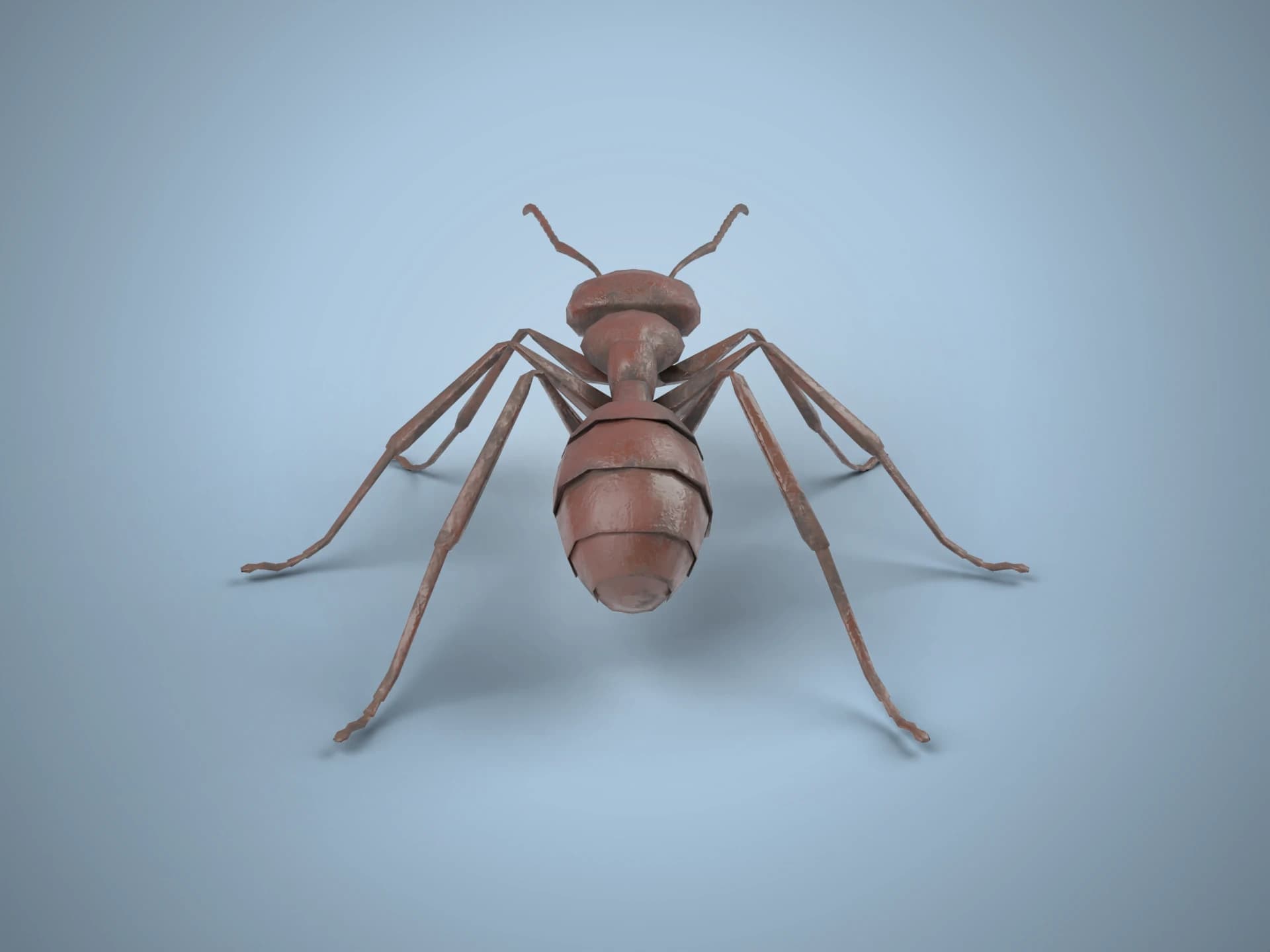 Red Ant 3D Model