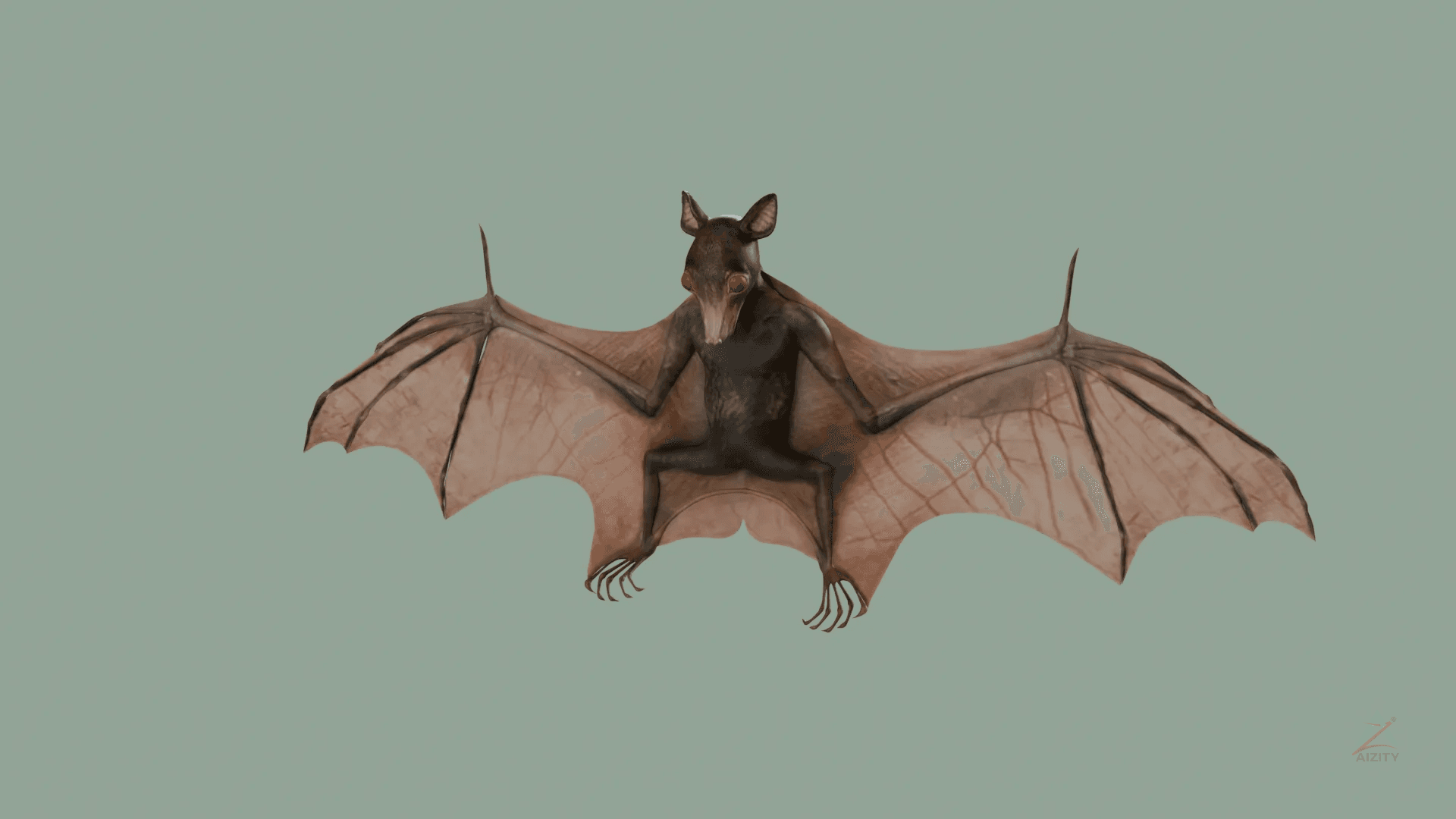 Bat (Kelelawar) – 3D Model