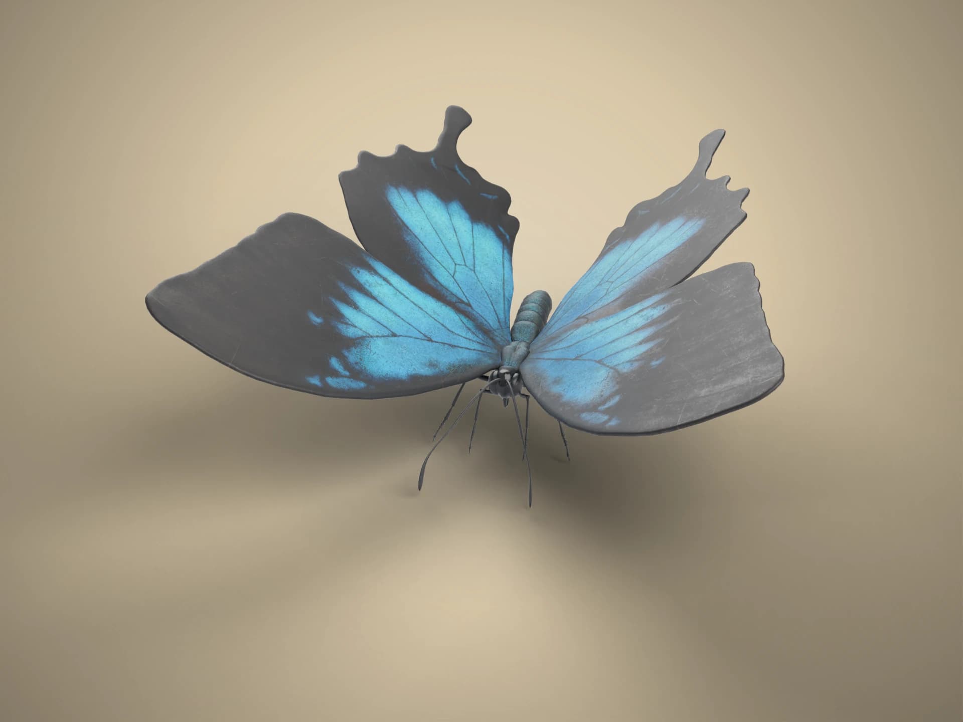 Blue Swallowtail Butterfly 3D Model
