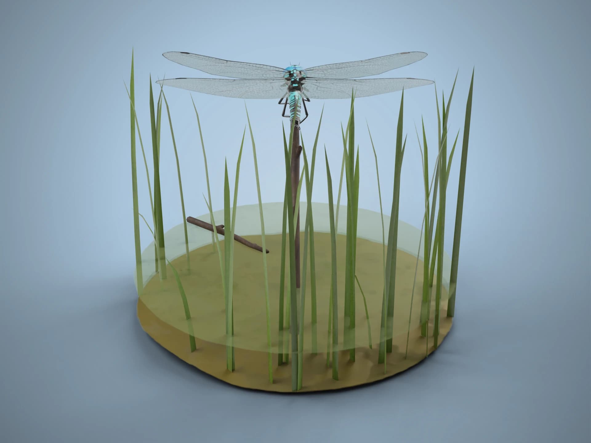 Blue Darner Dragonfly in Habitat 3D Model