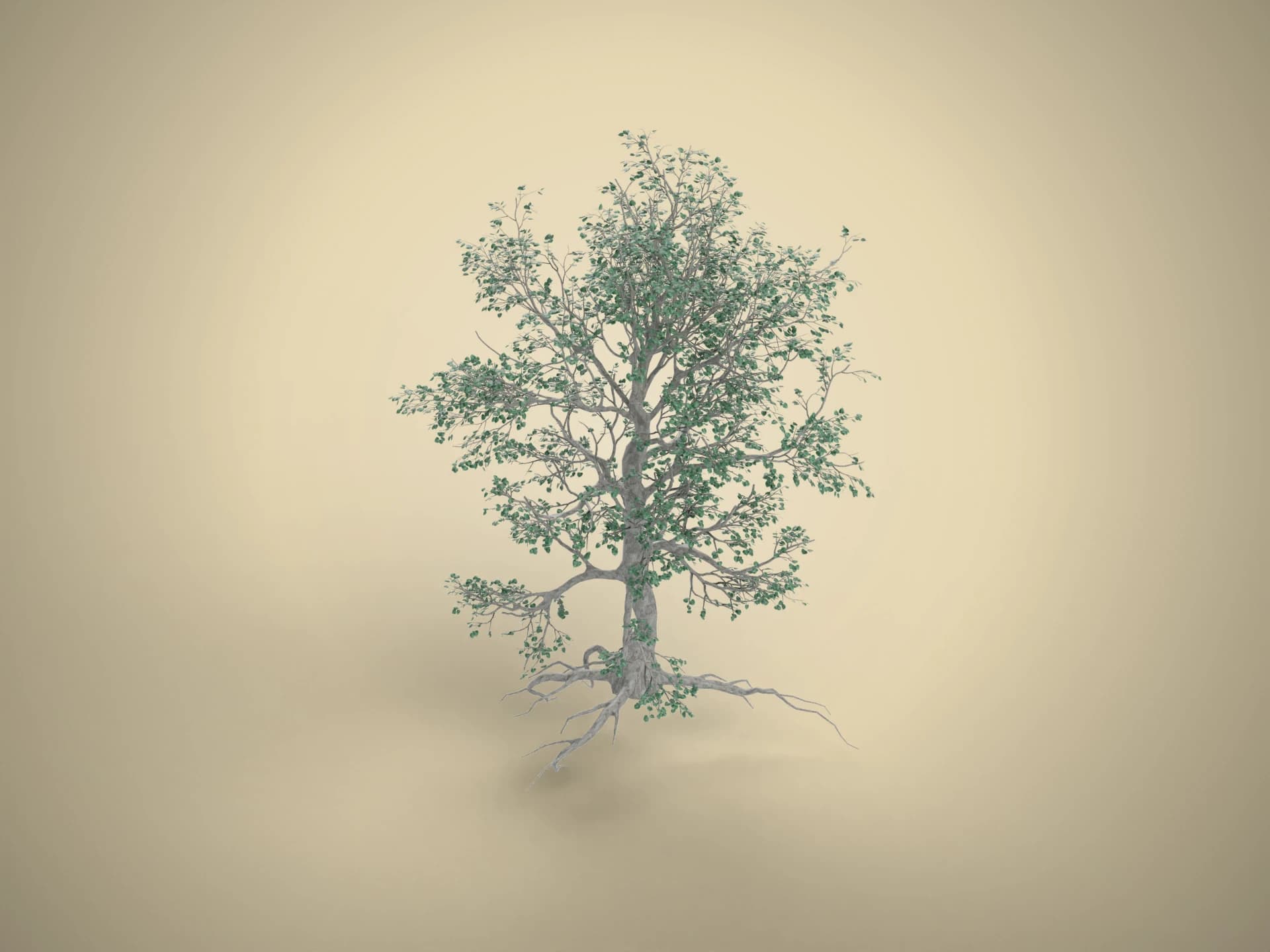 Bodhi (Peepal) Tree 3D Model