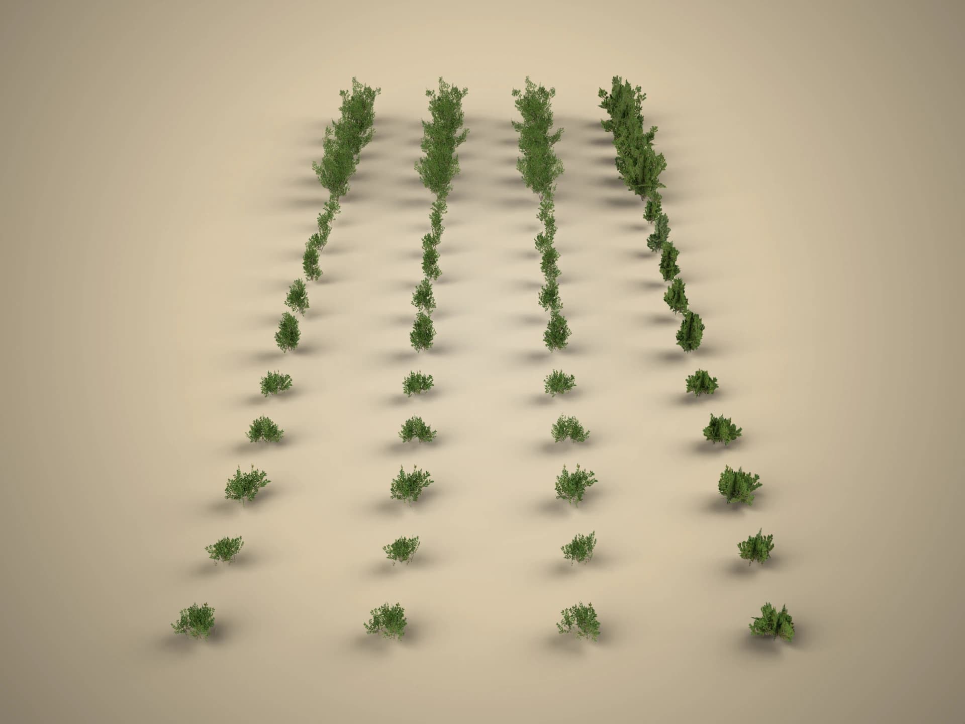 Bush Pack with LODs and Billboards 3D Model