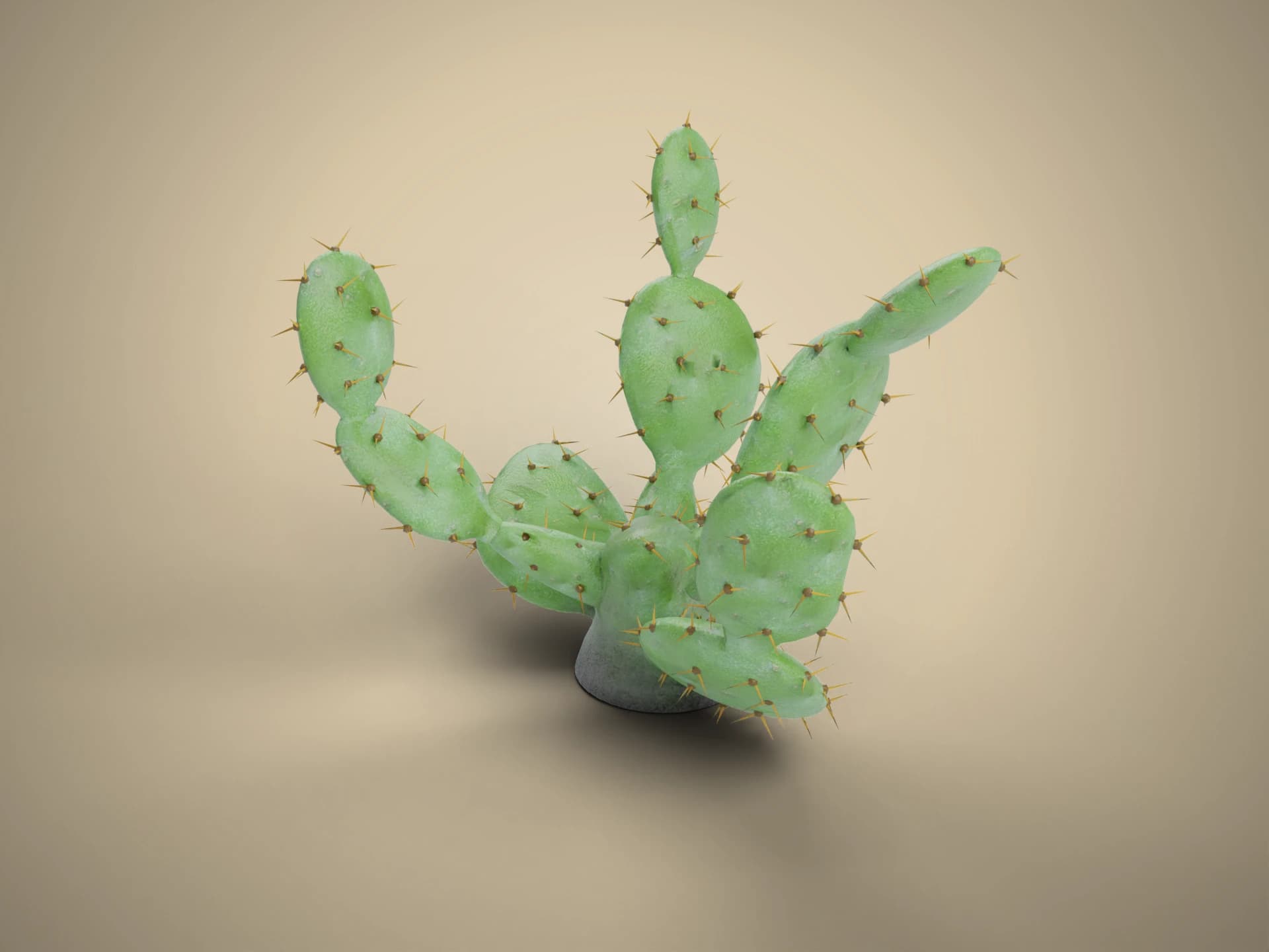 Prickly Pear Cactus 3D Model