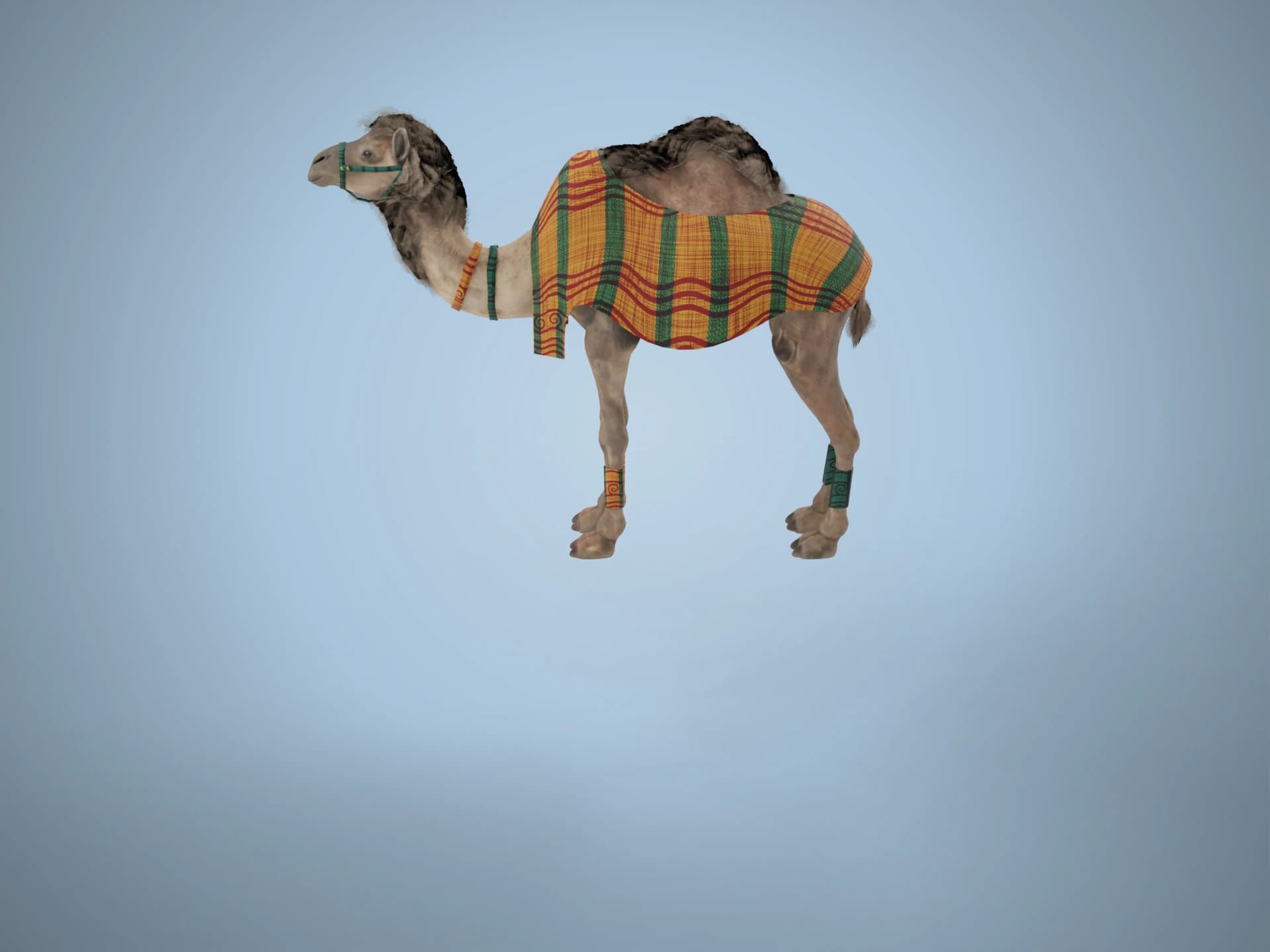 Animated Dromedary Camel with Blanket 3D Model