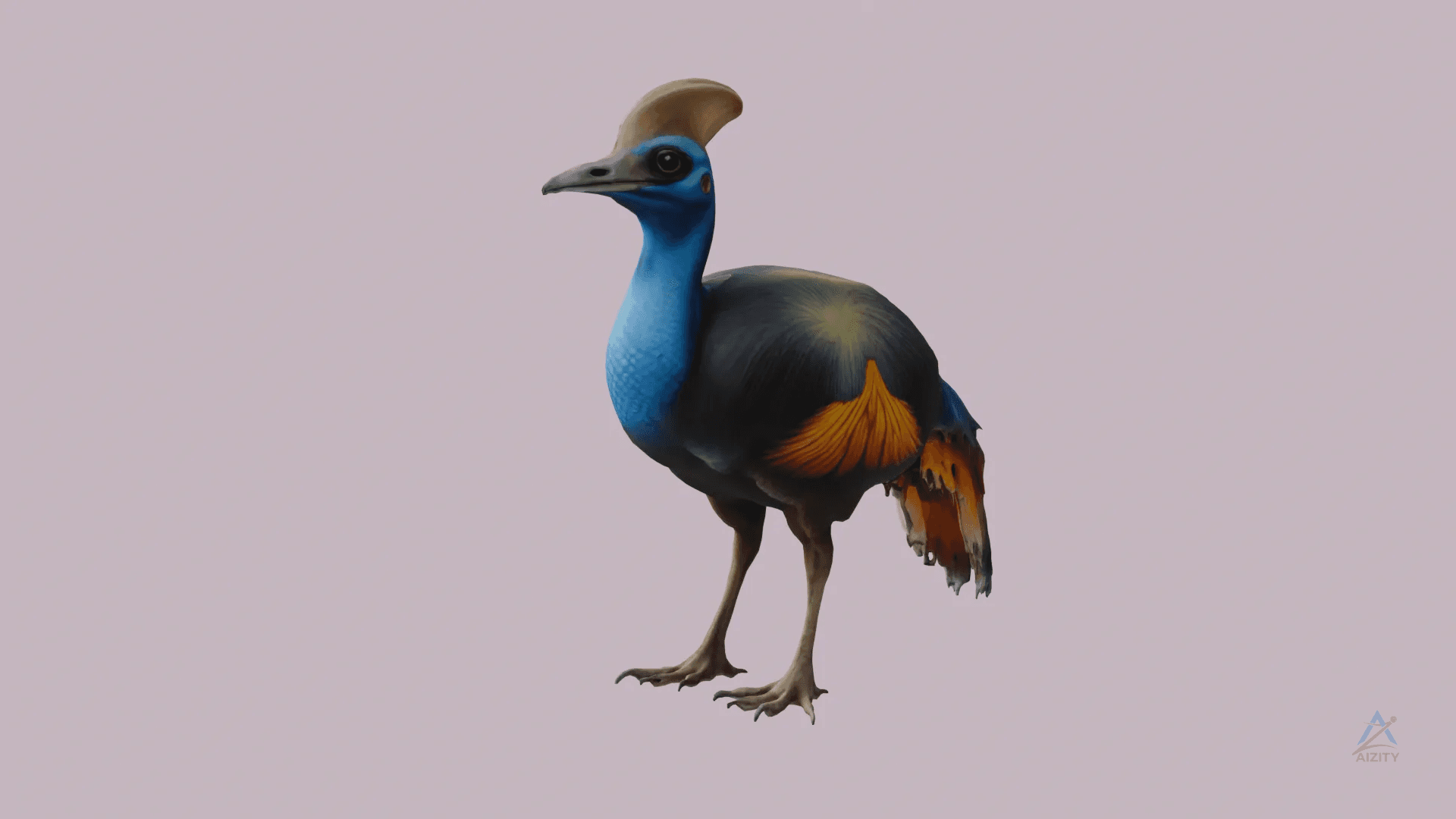 Cassowary 3D Model