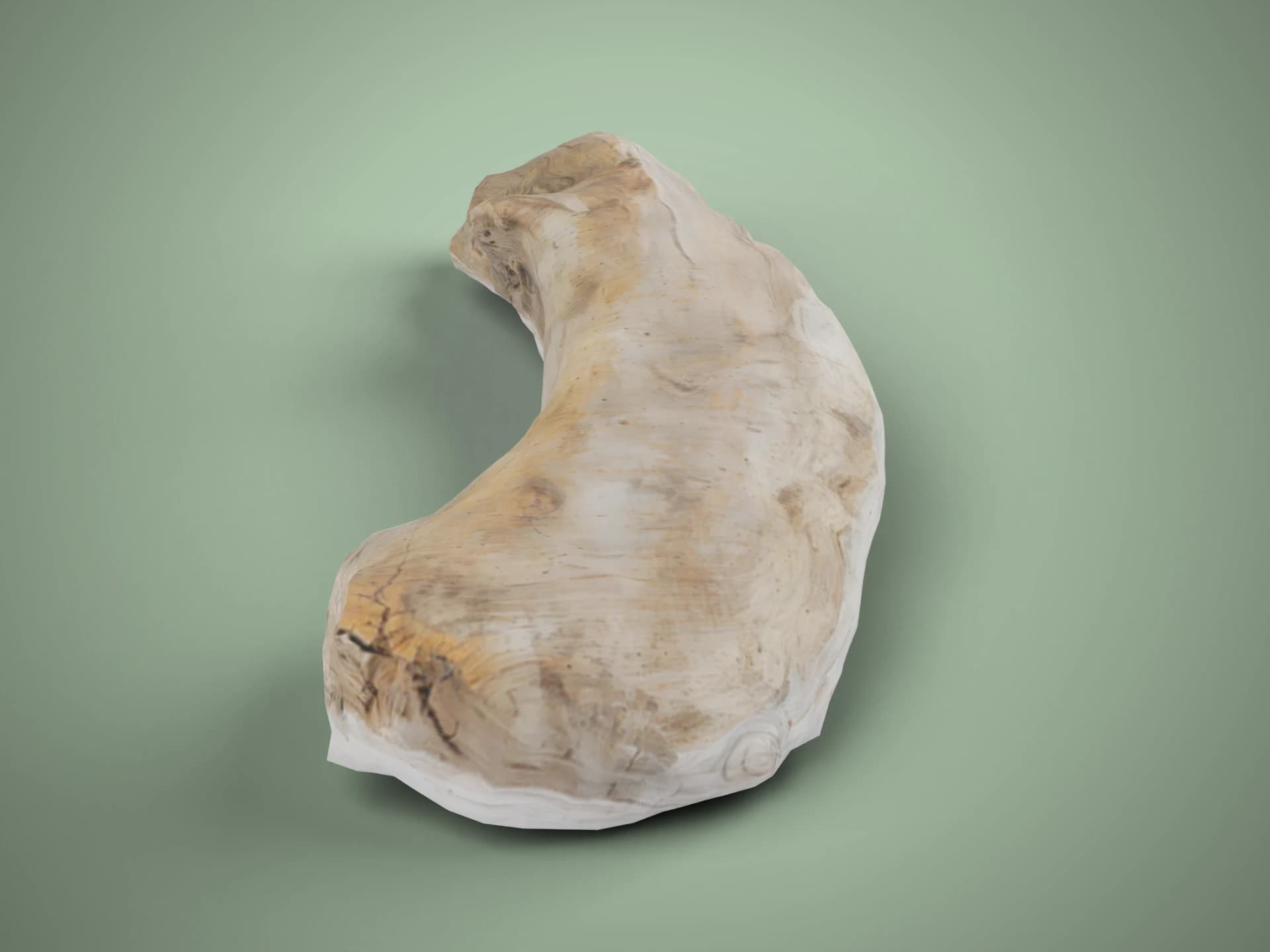 Weathered Driftwood Log 3D Model