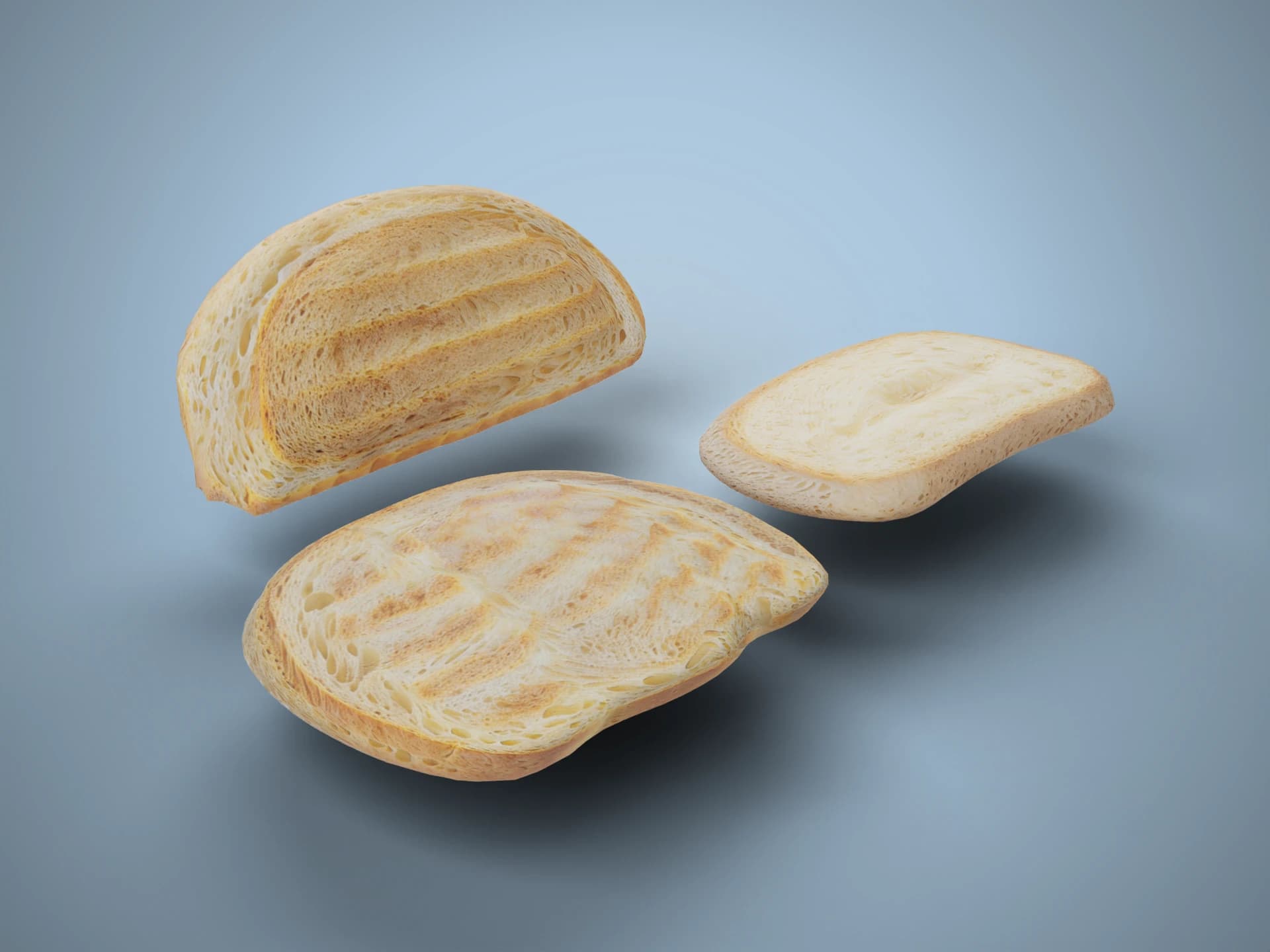 Toasted Bread Slices 3D Model