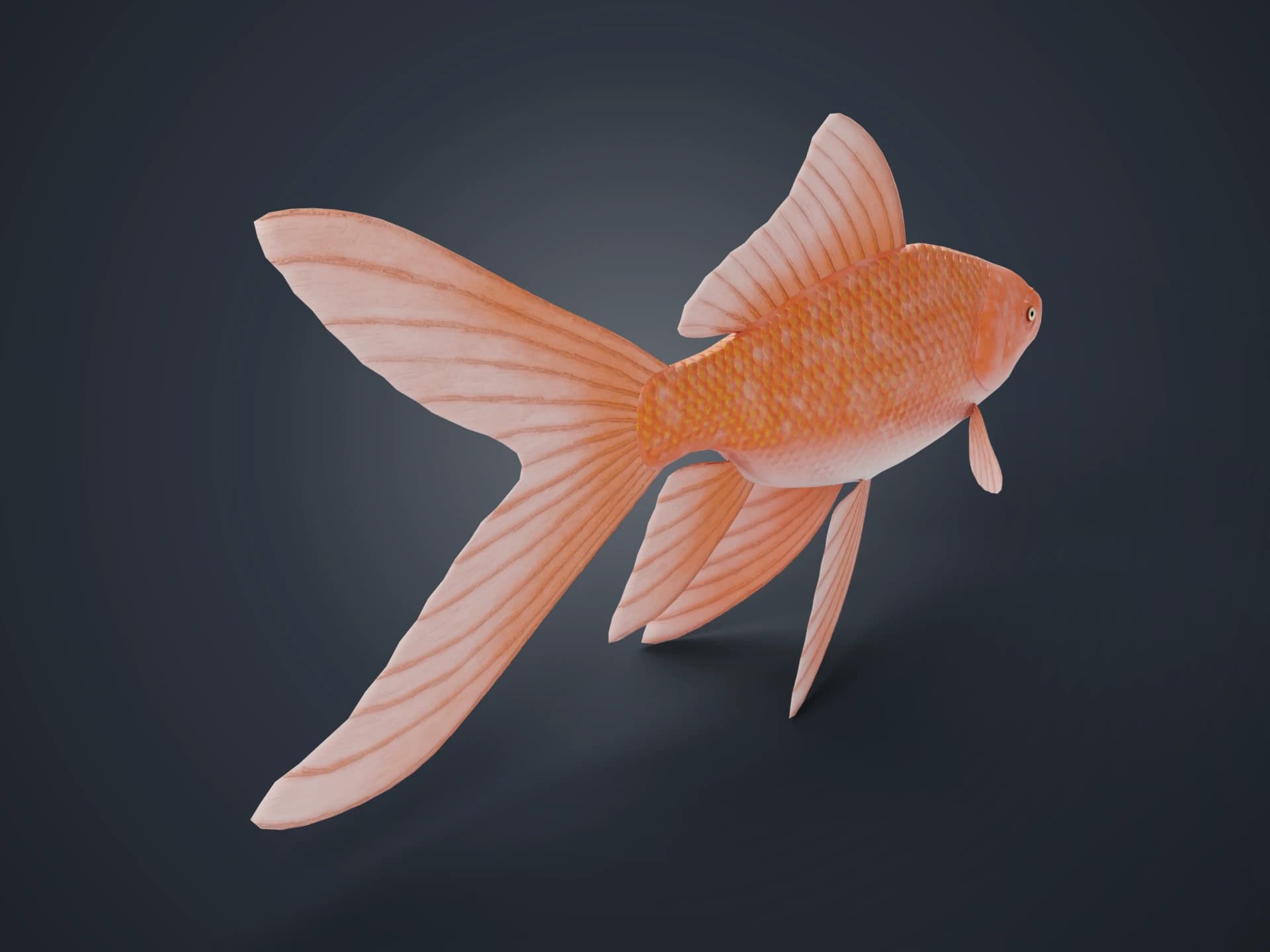 Comet Goldfish Animated 3D Model