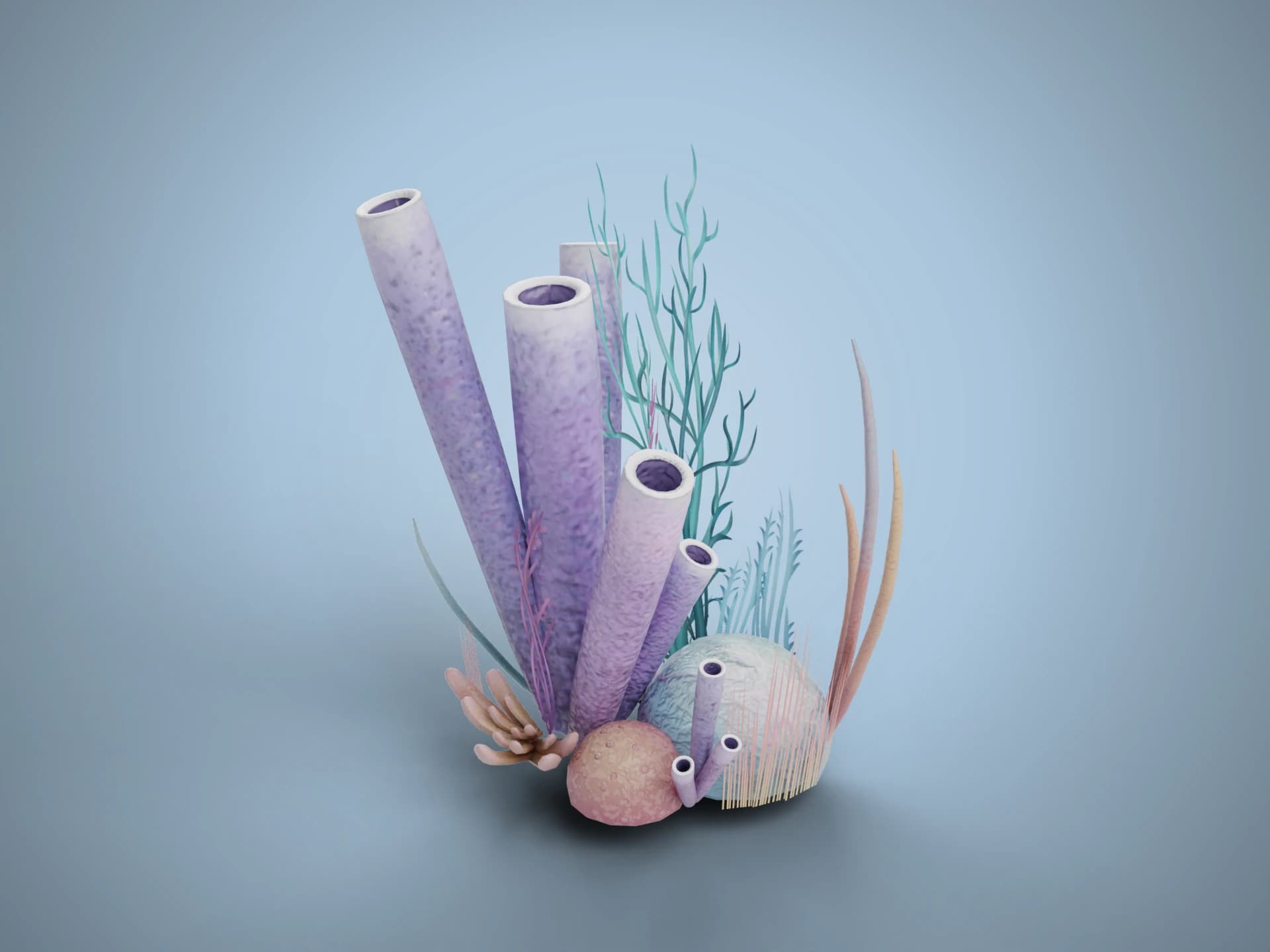 Coral Reef Cluster with Shells 3D Model