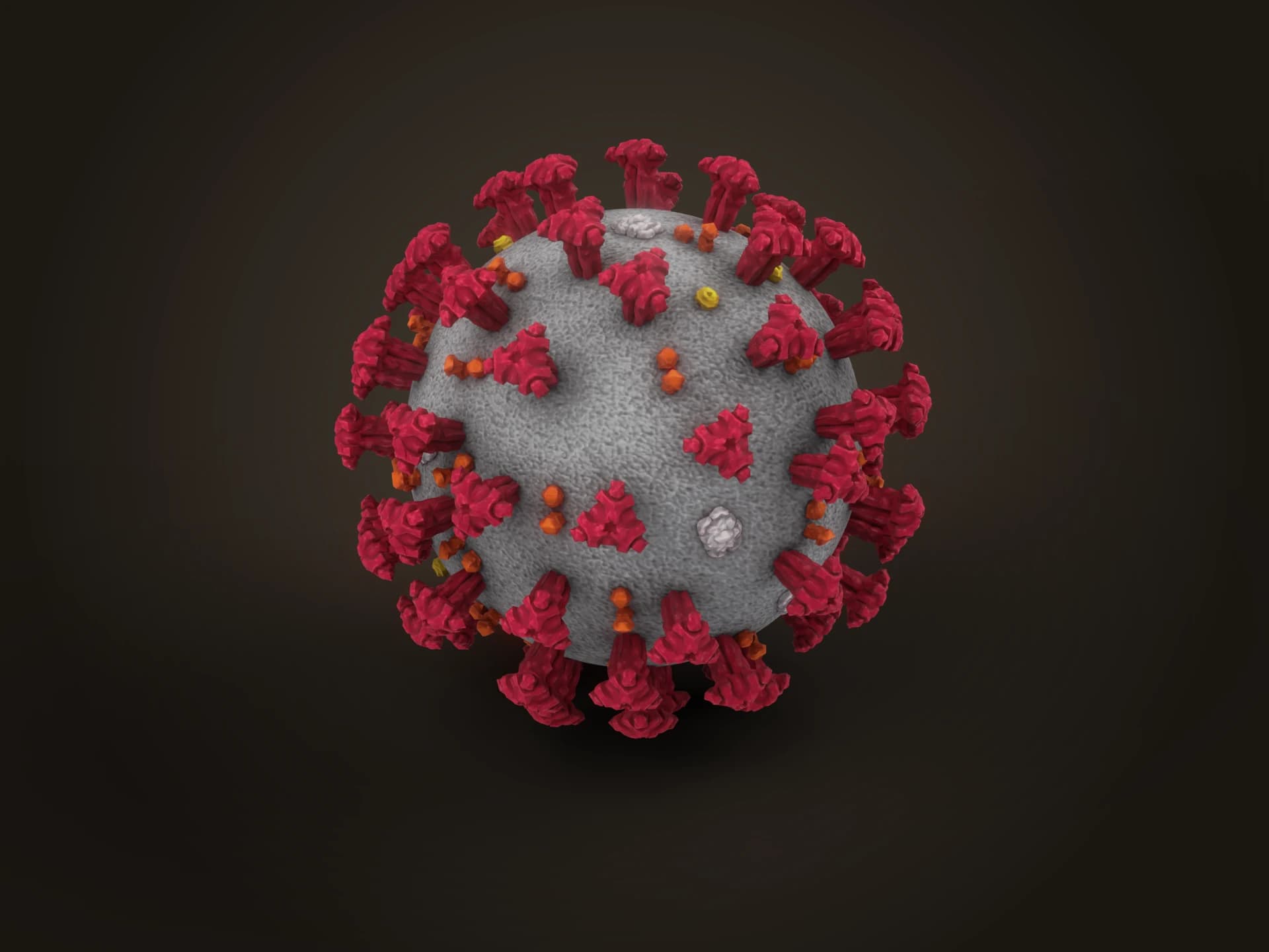 Coronavirus Particle 3D Model