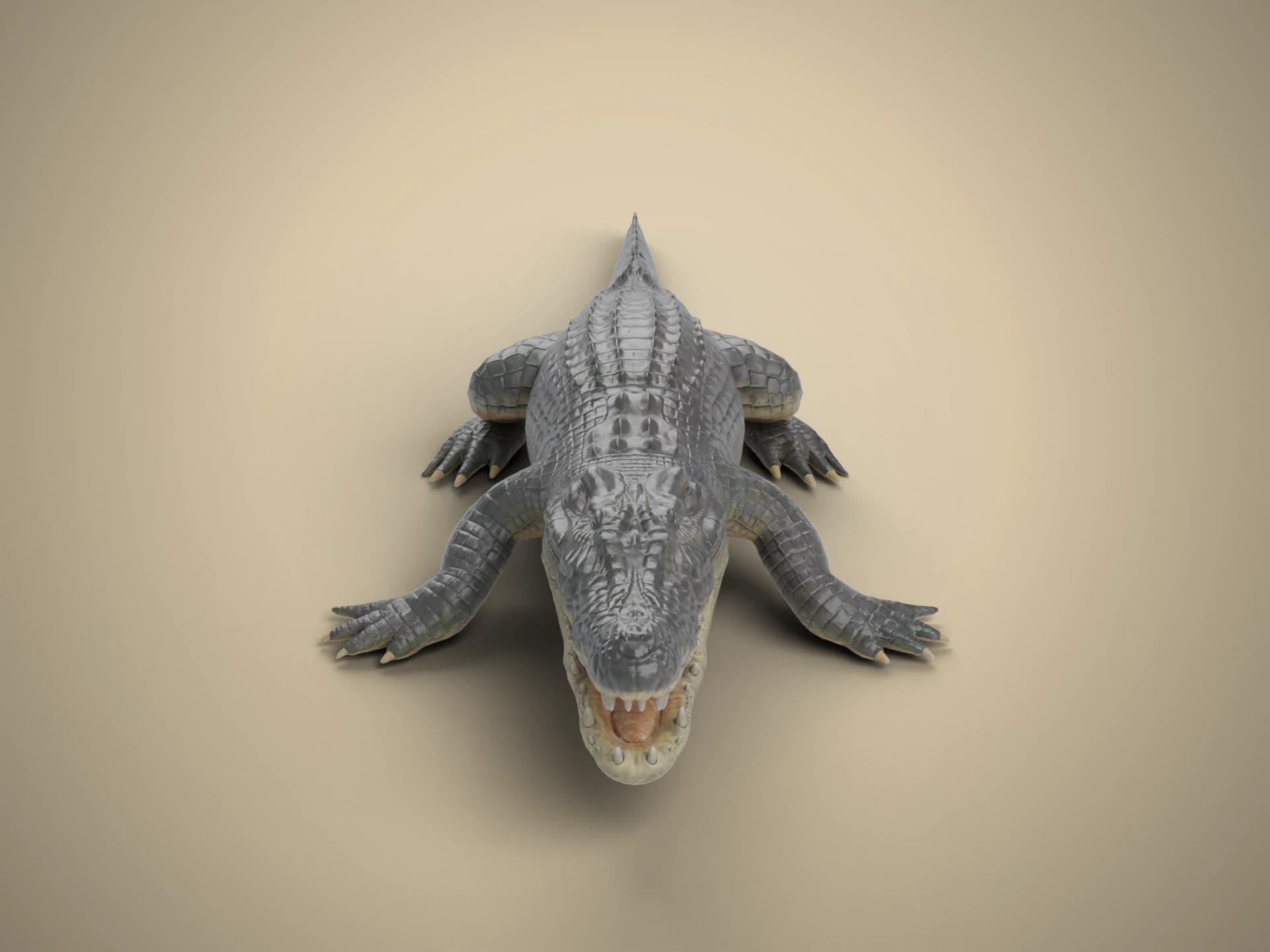 Crocodile 3D Model