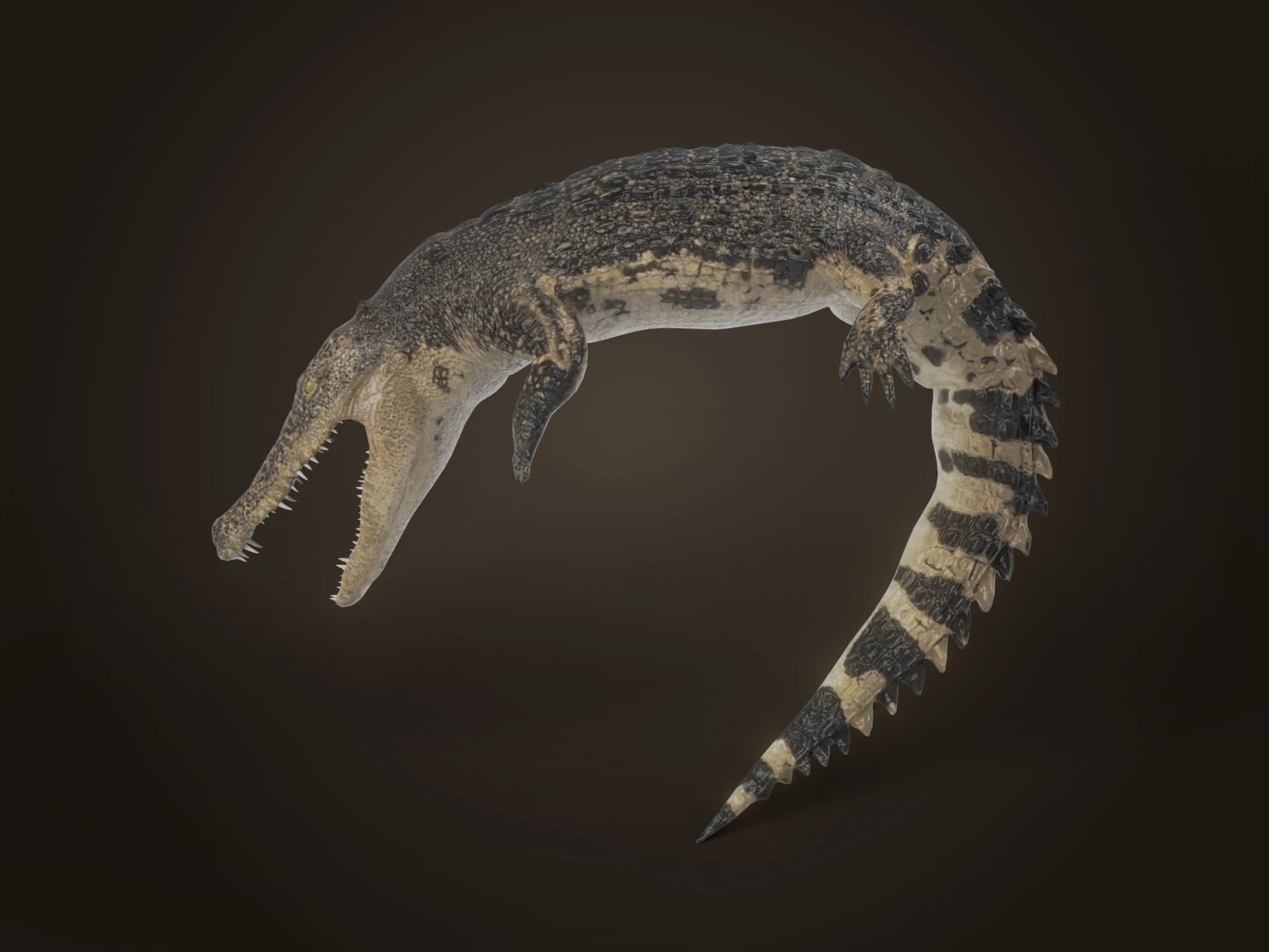 Siamese Crocodile 3D Model