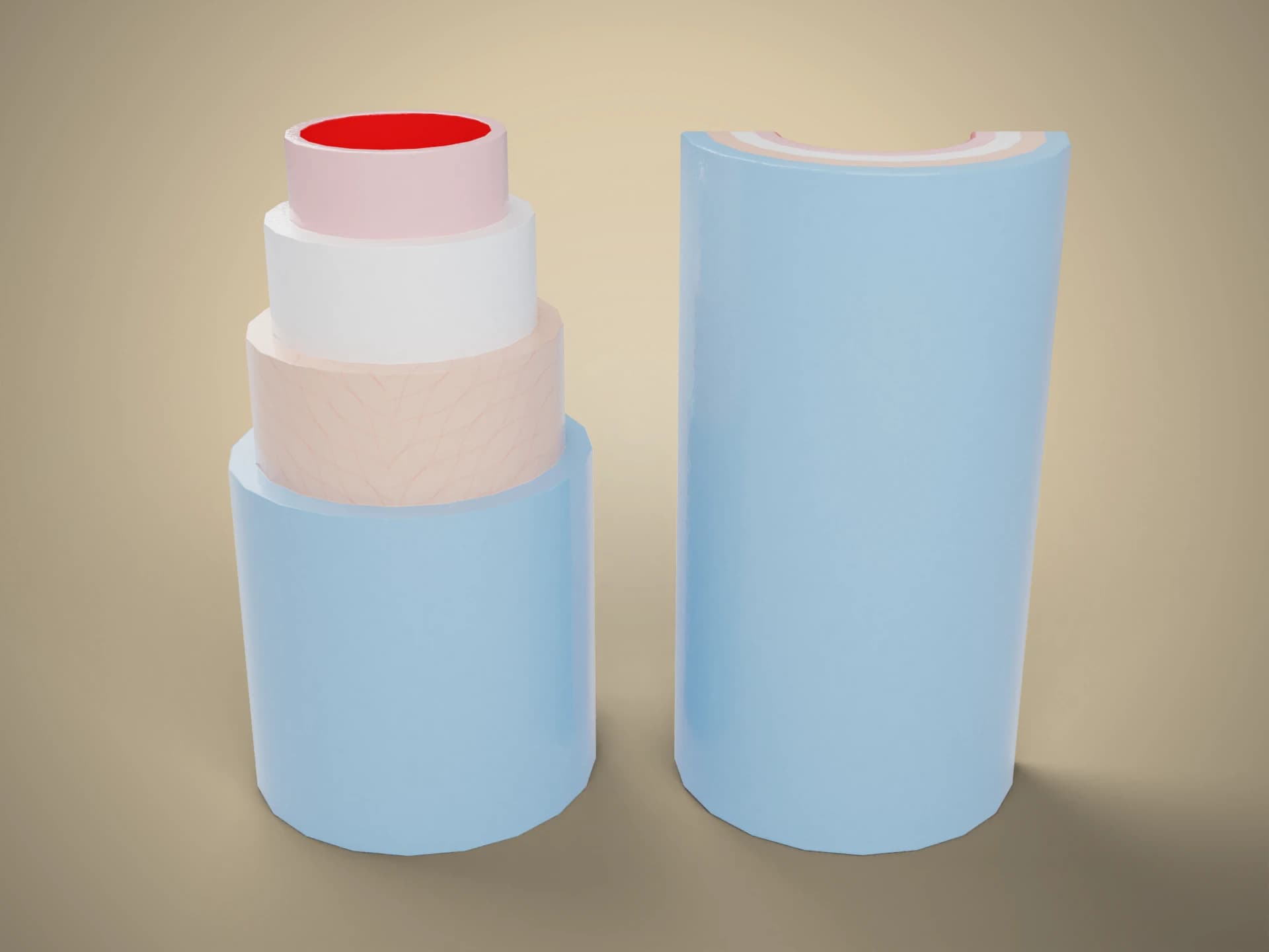 Vein Wall Cross-Section 3D Model