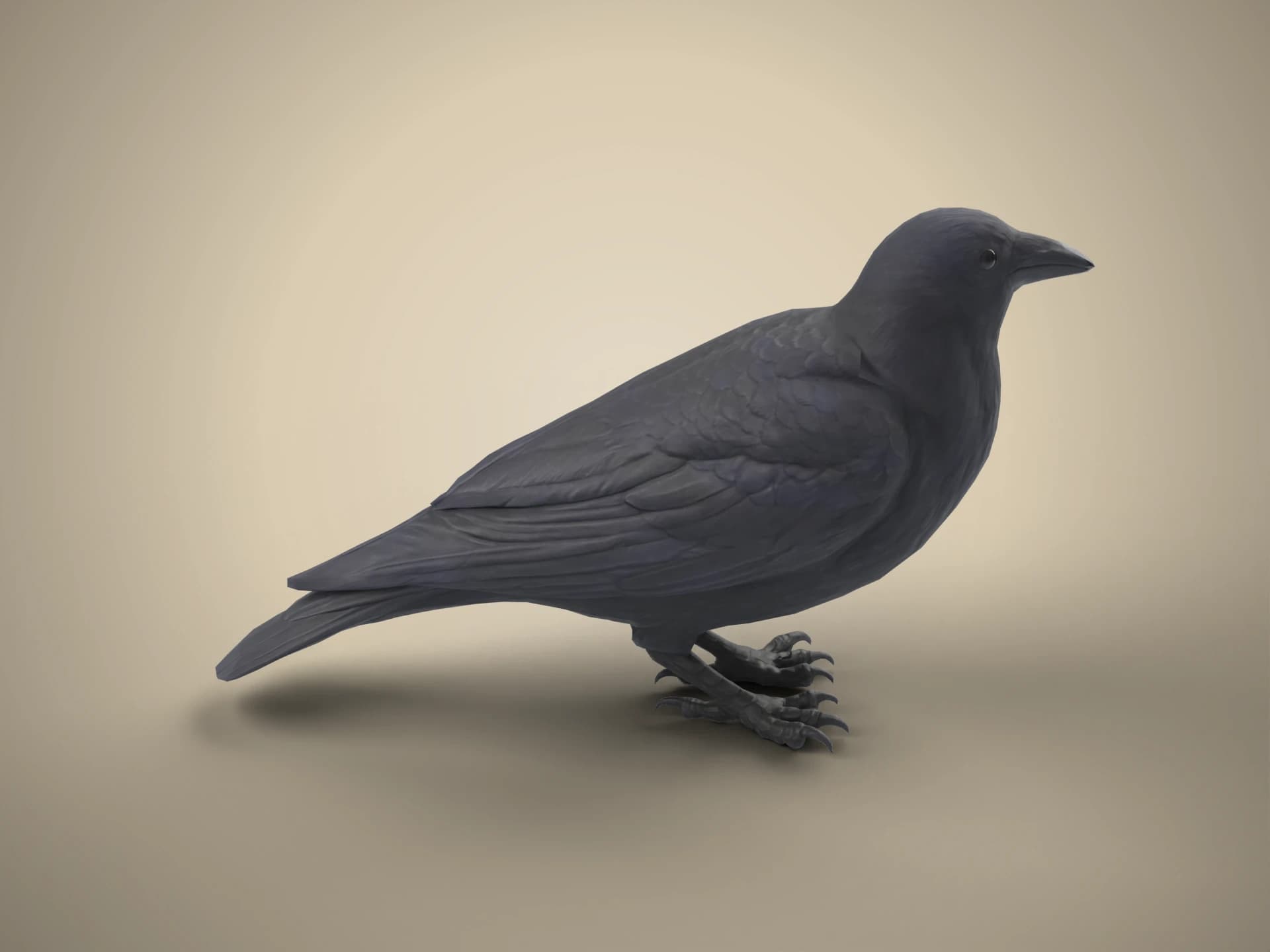 Realistic Black Crow 3D Model
