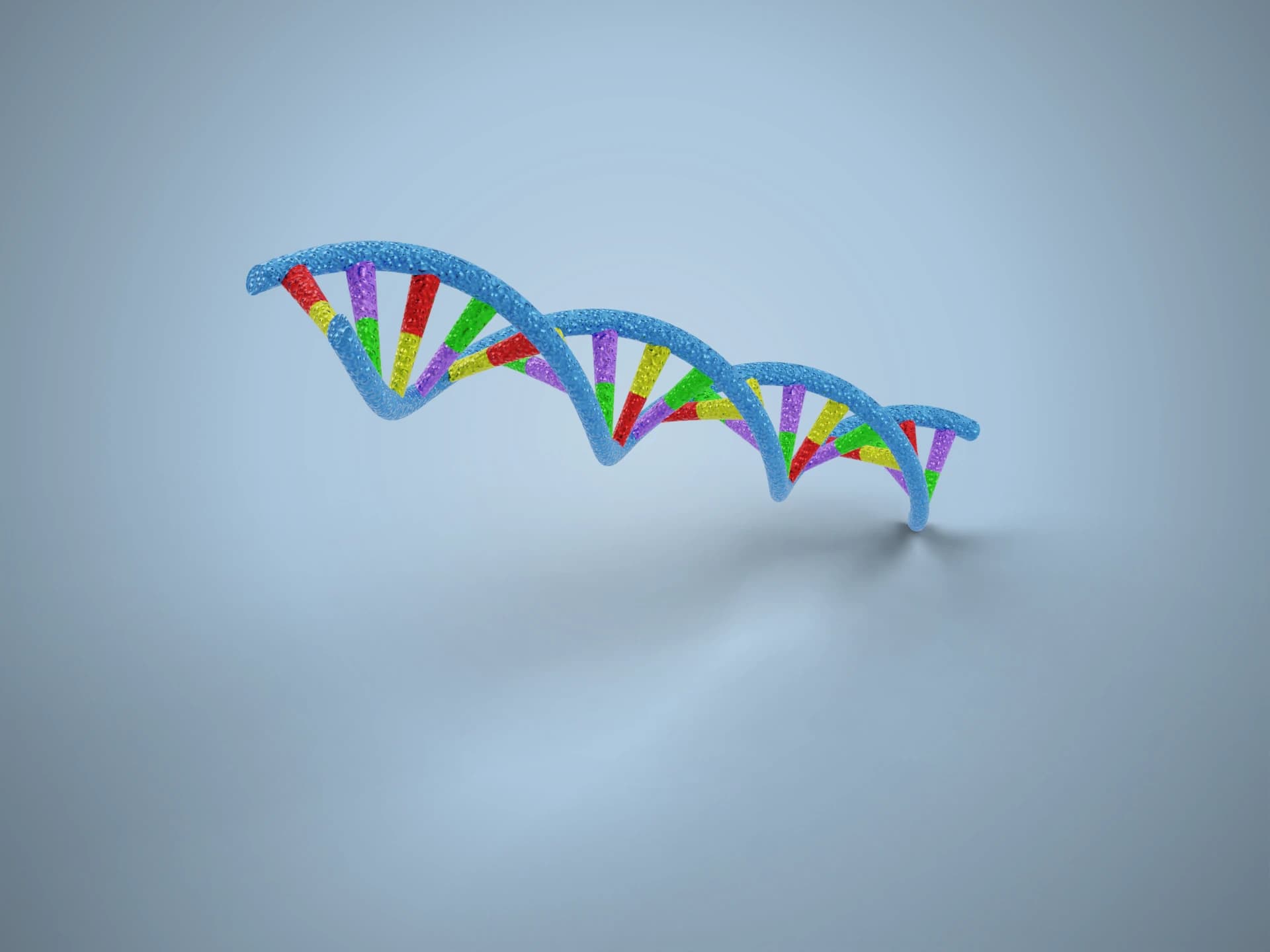 DNA Double Helix 3D Model