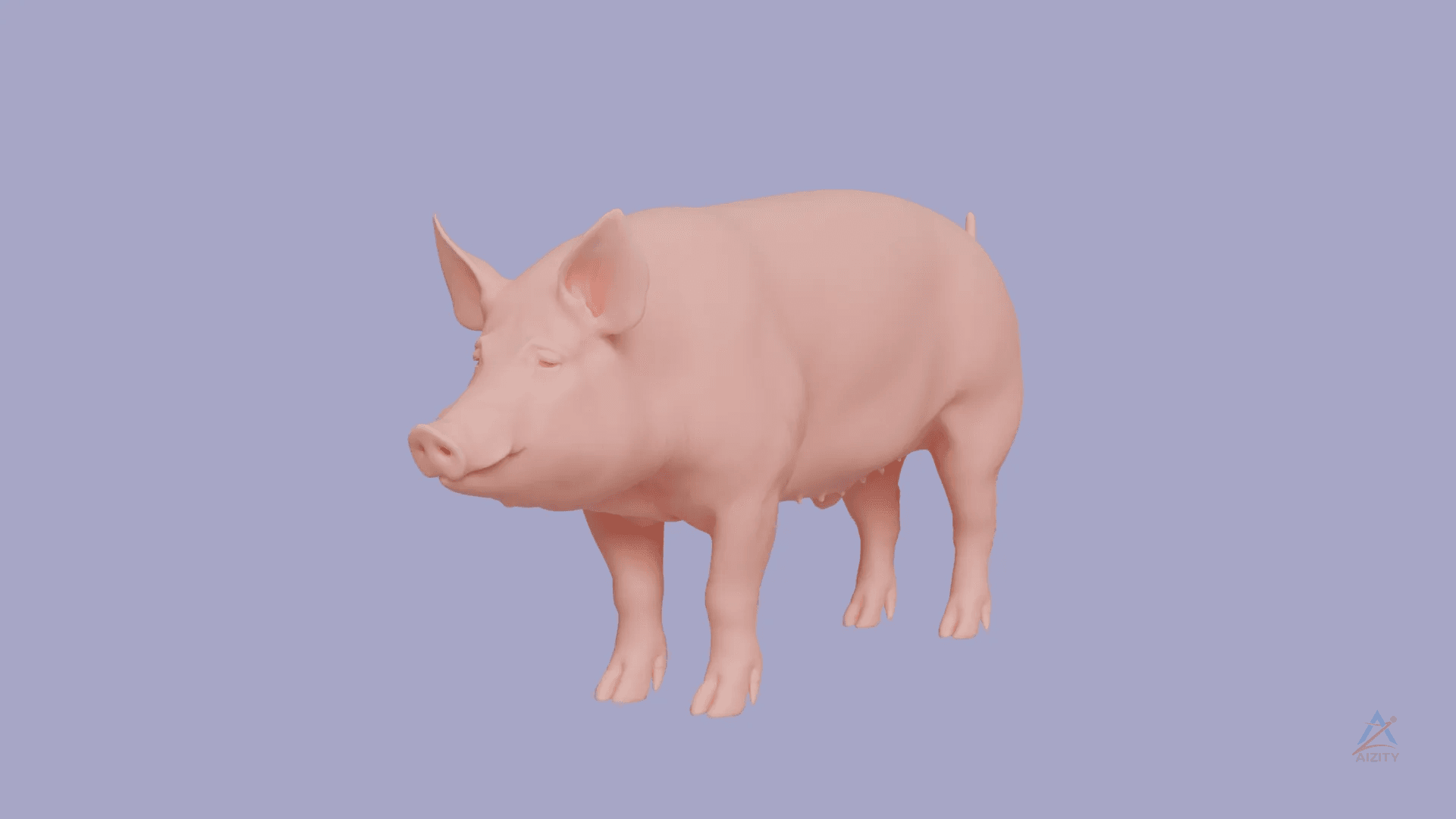 Domestic Pig (Male) 3D model