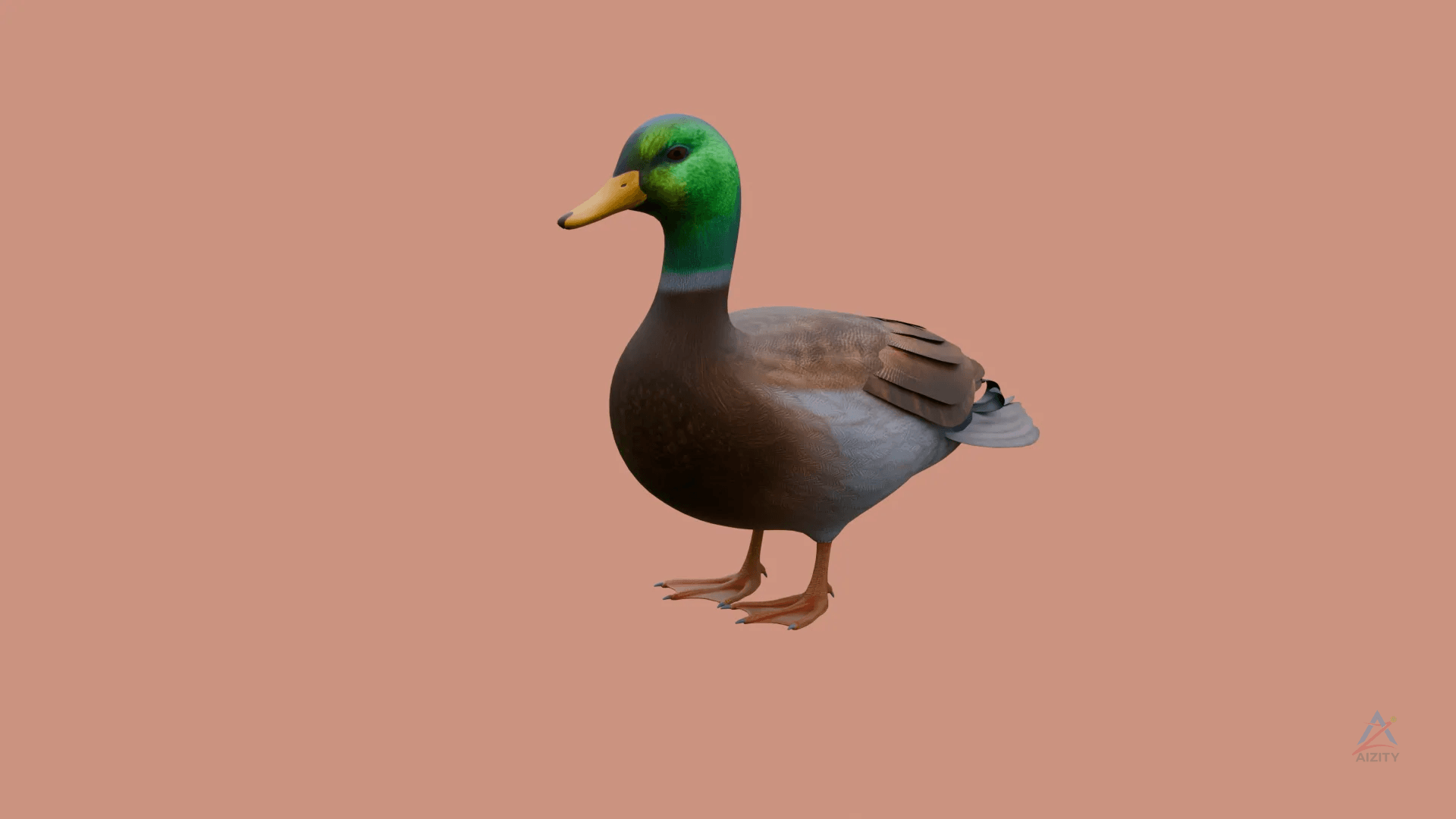 Duck 3D Model