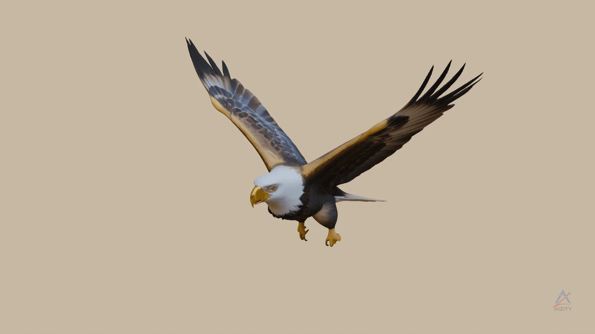 Eagle 3D model