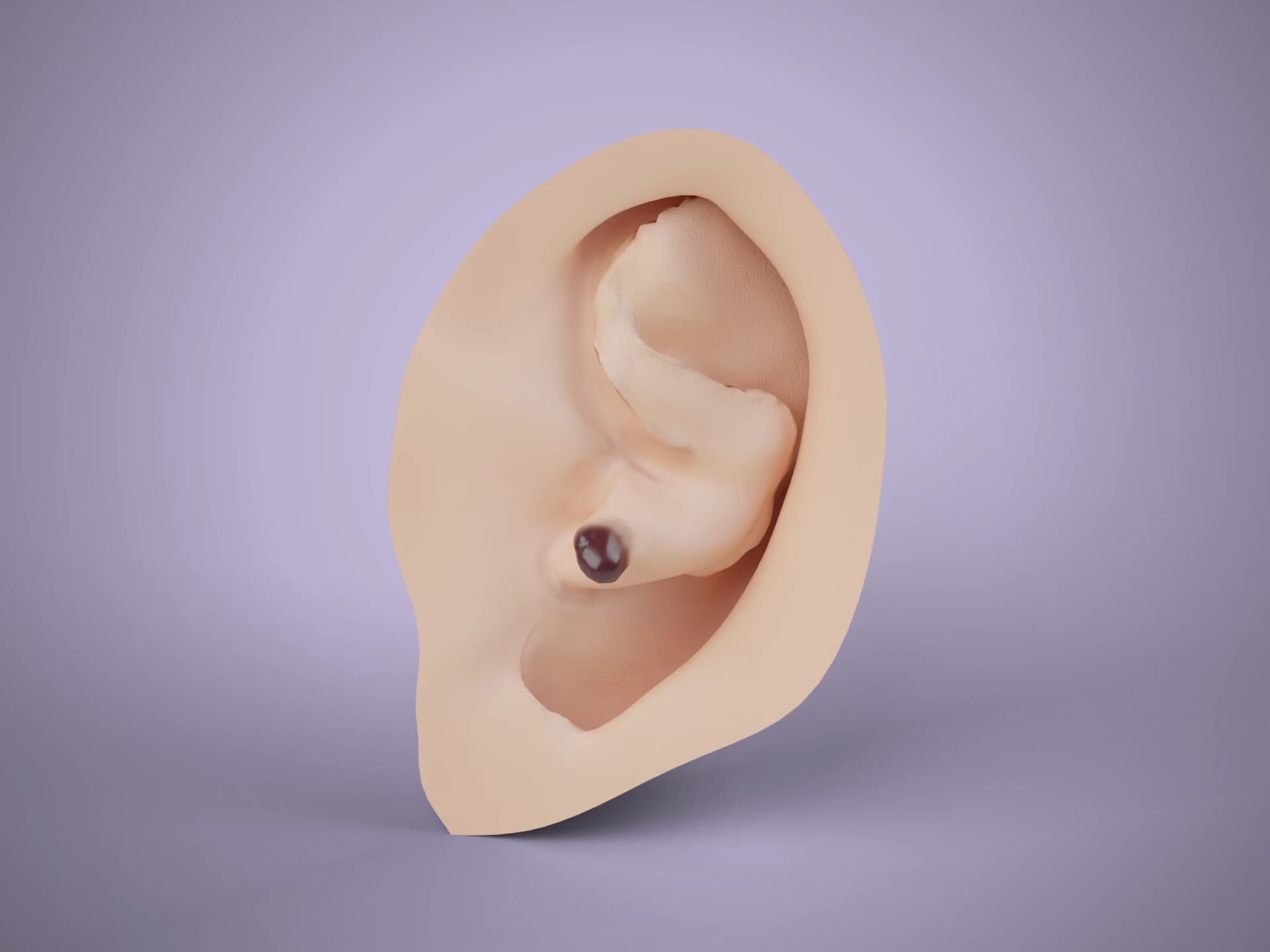 Human Ear with Ear Canal 3D Model