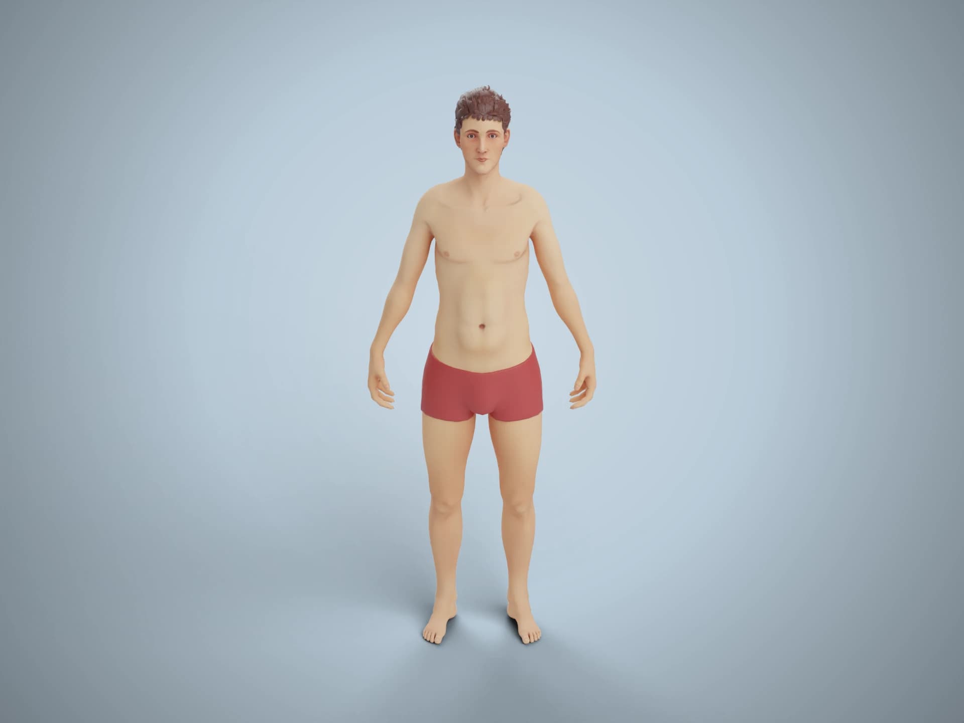 Male Body Anatomy Reference 3D Model