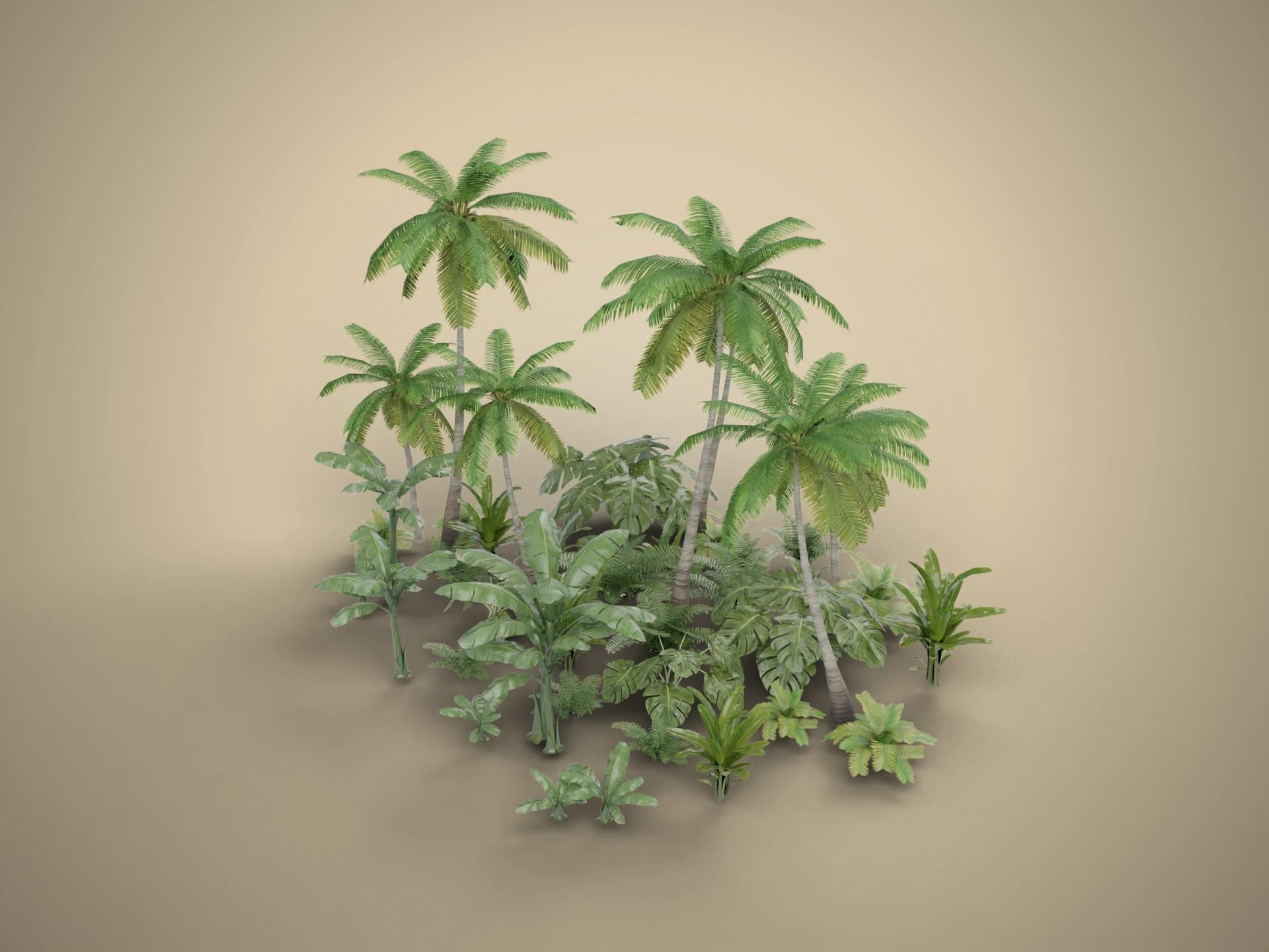 Tropical Palm and Foliage Set 3D Model