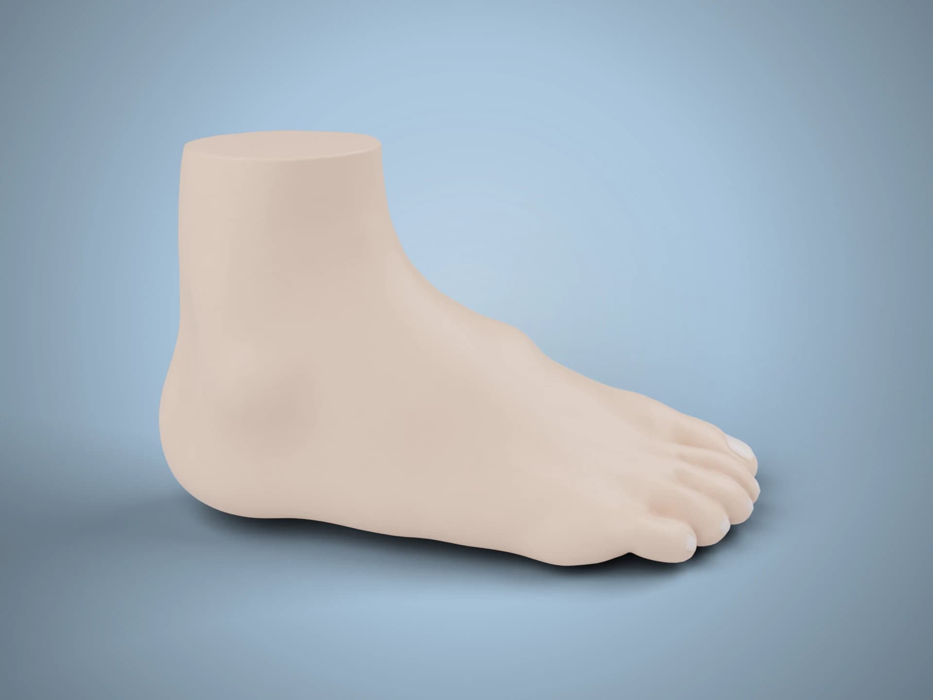 Human Foot Sculpt 3D Model