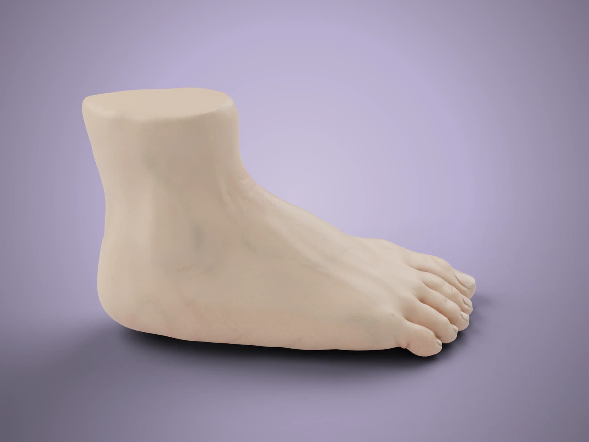 Realistic Human Foot 3D Model