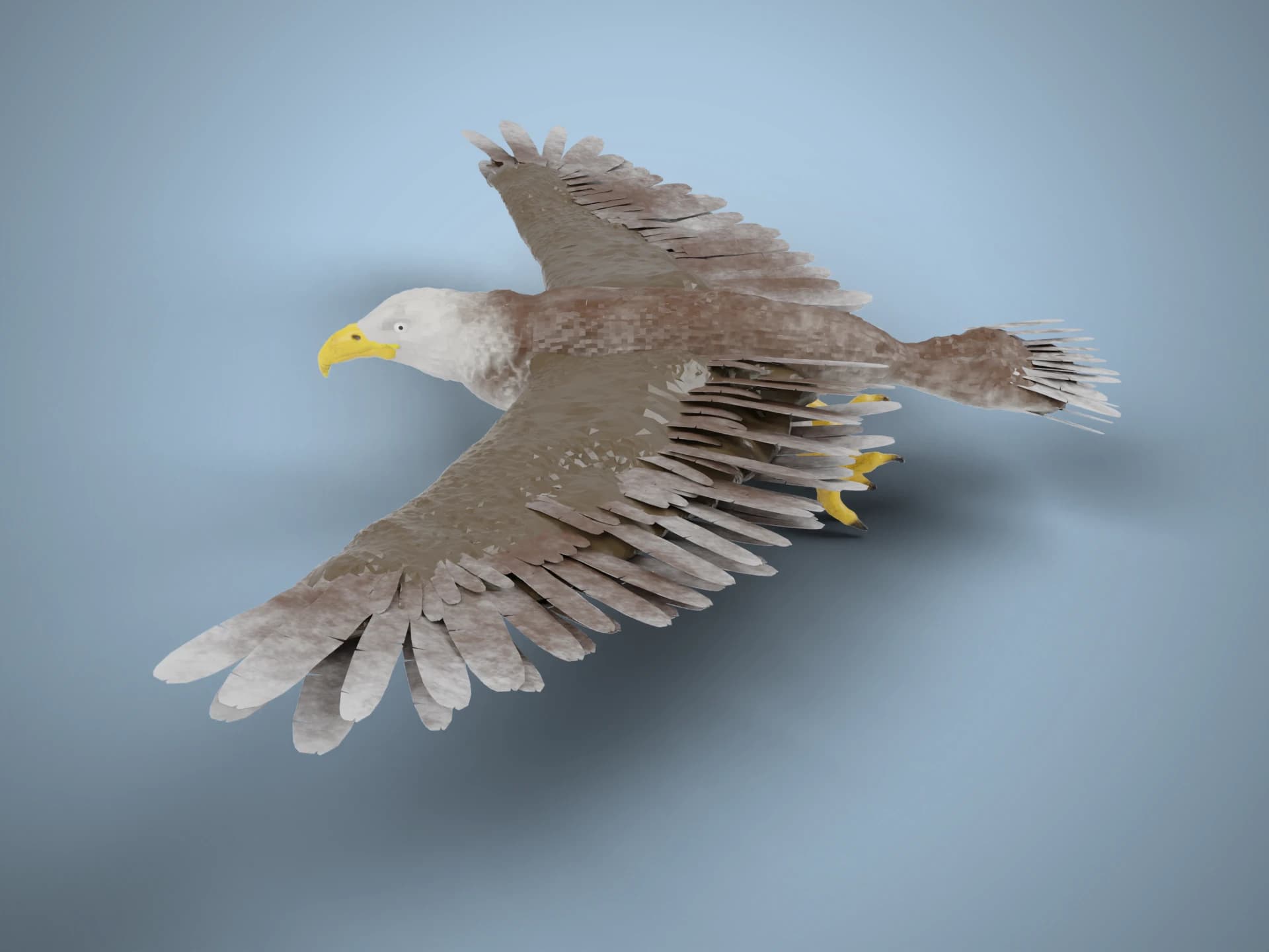 Bald Eagle in Flight 3D Model