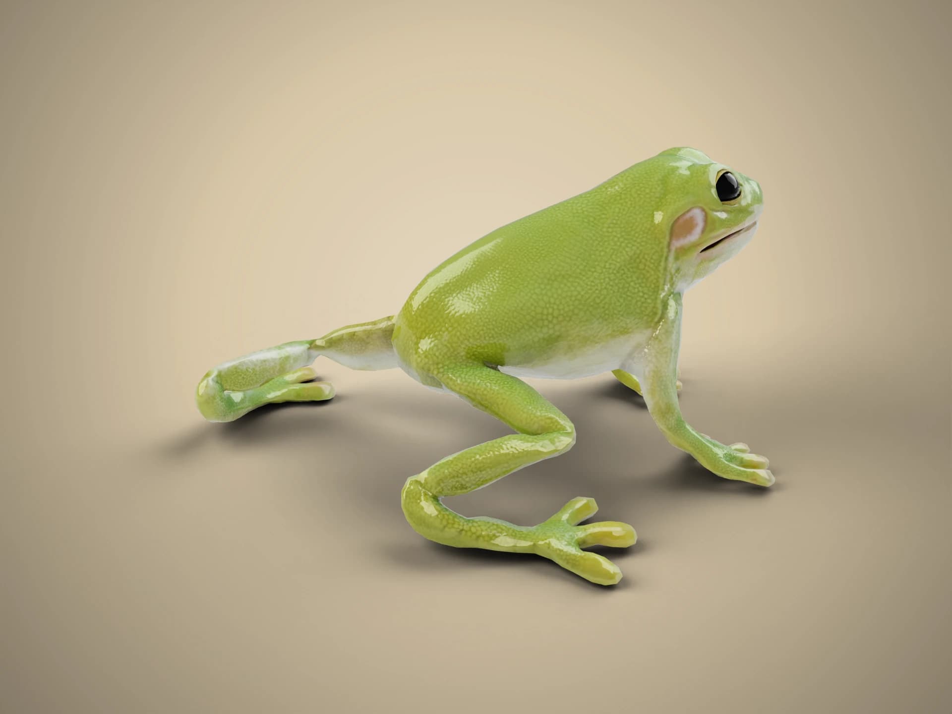Animated Green Tree Frog 3D Model