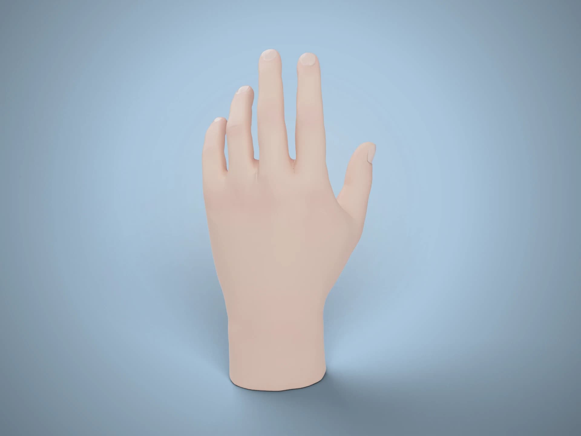 Realistic Human Hand Study 3D Model