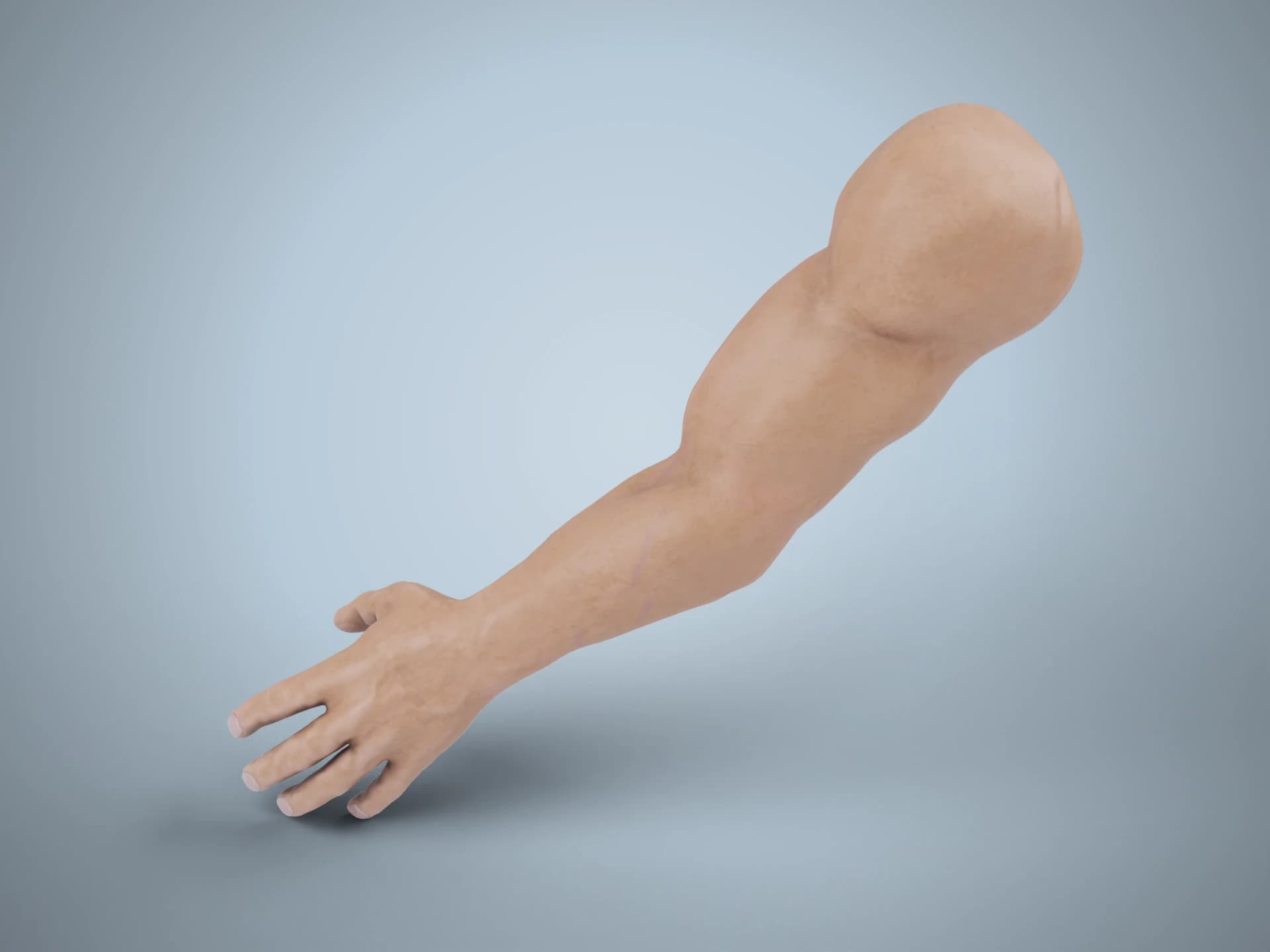 Realistic Human Hand and Arm Sculpt 3D Model