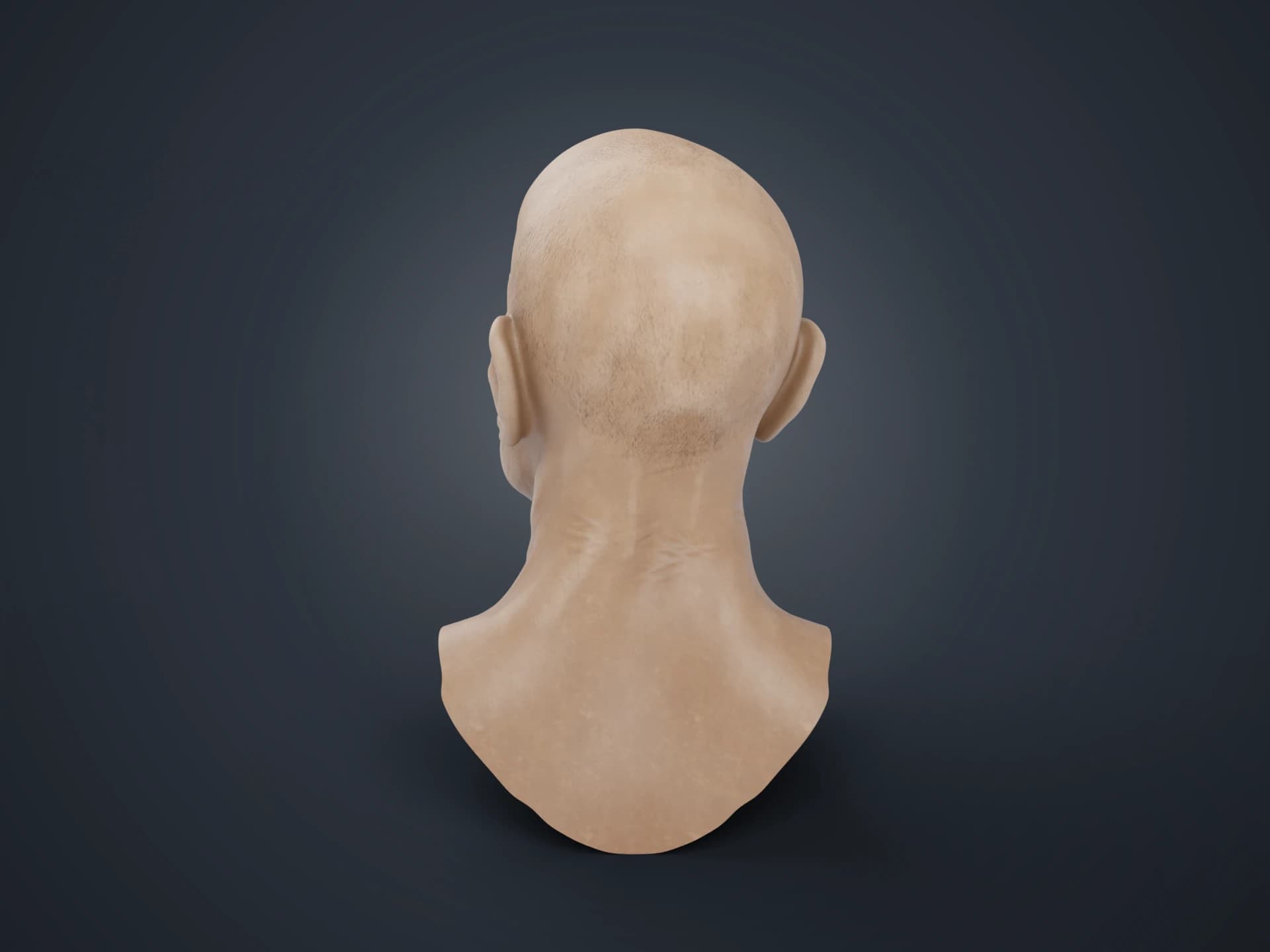 Bald Male Head Sculpt 3D Model