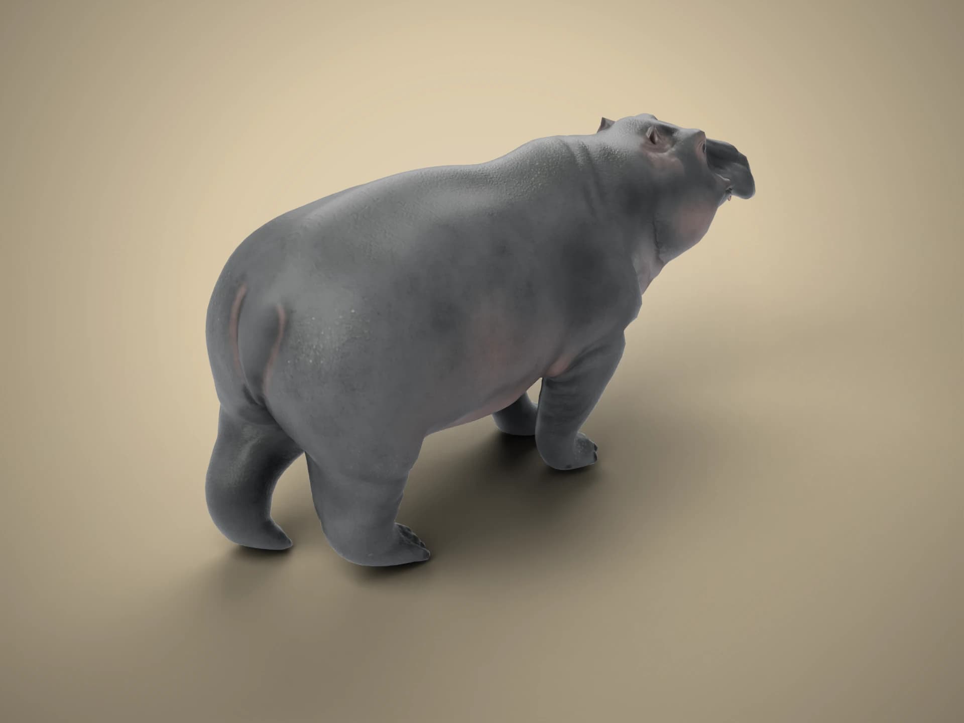 Hippopotamus Animated 3D Model