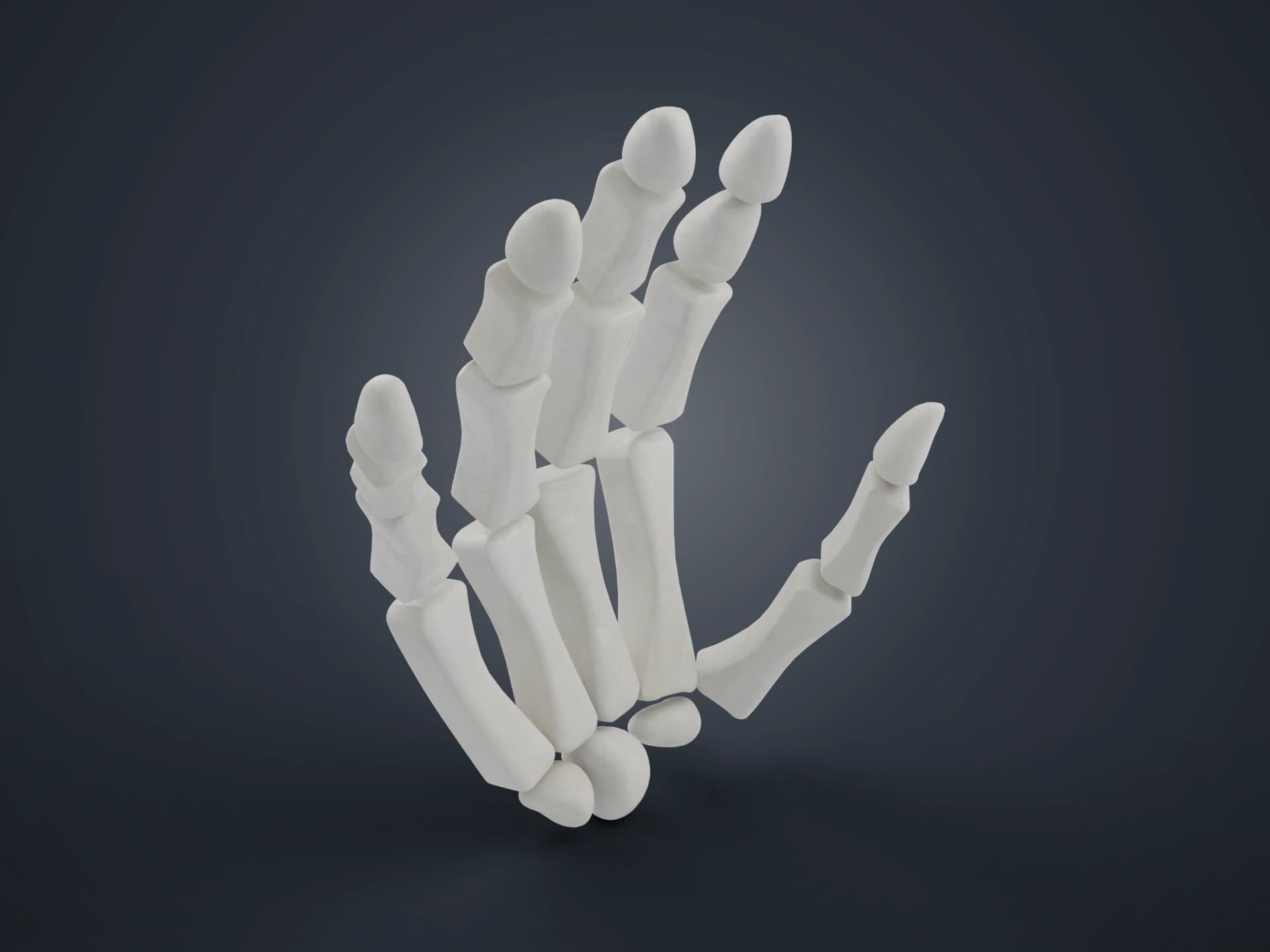 Human Hand Skeleton 3D Model