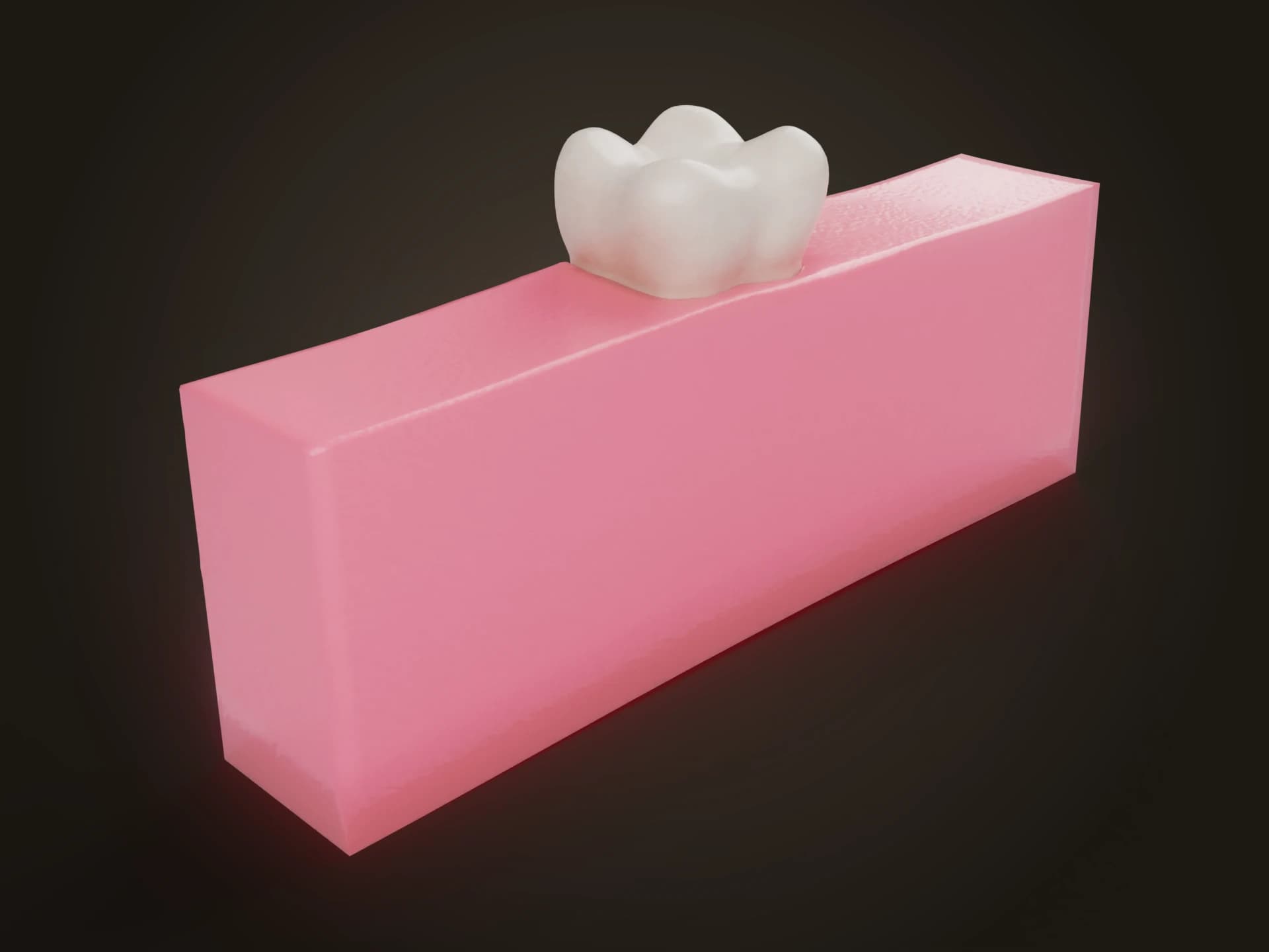 Tooth Cross Section with Gums 3D Model