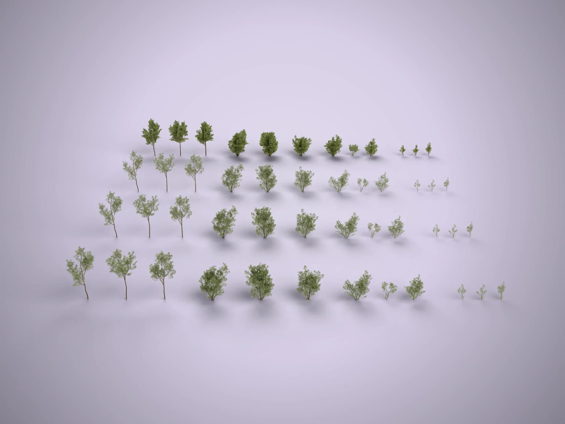 Lilac Trees and Bushes Pack 3D Model
