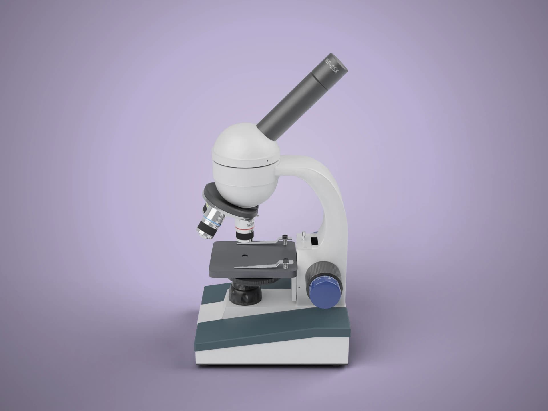 Student Compound Microscope 3D Model