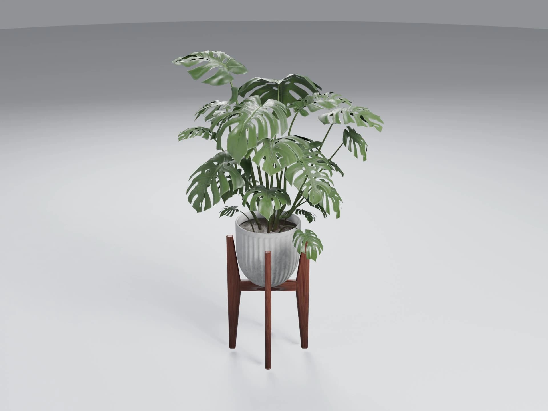 Potted Monstera Plant On Wooden Stand 3D Model
