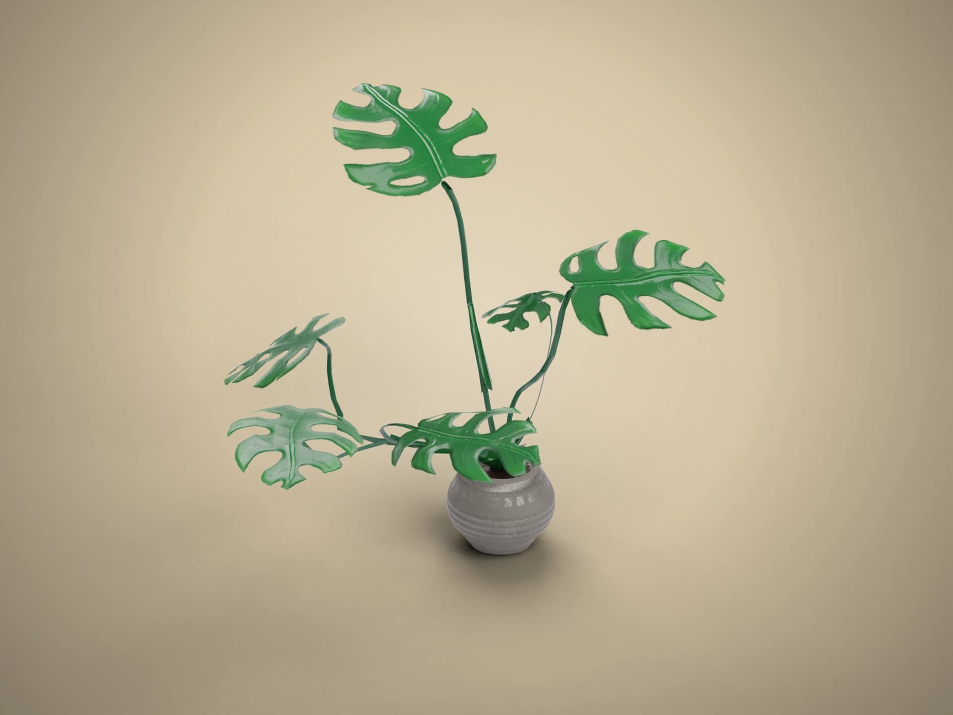 Potted Monstera Houseplant 3D Model