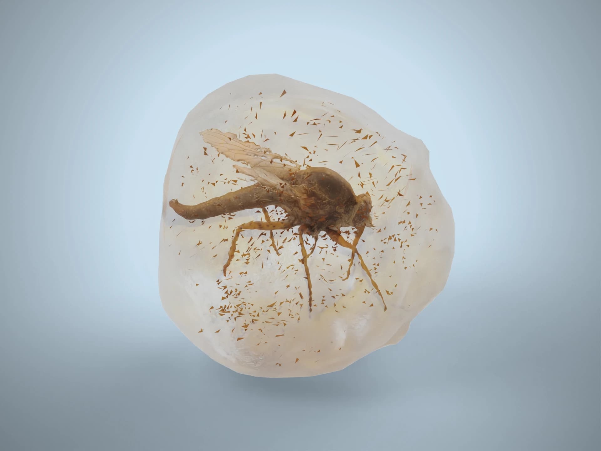 Prehistoric Mosquito Trapped In Amber 3D Model