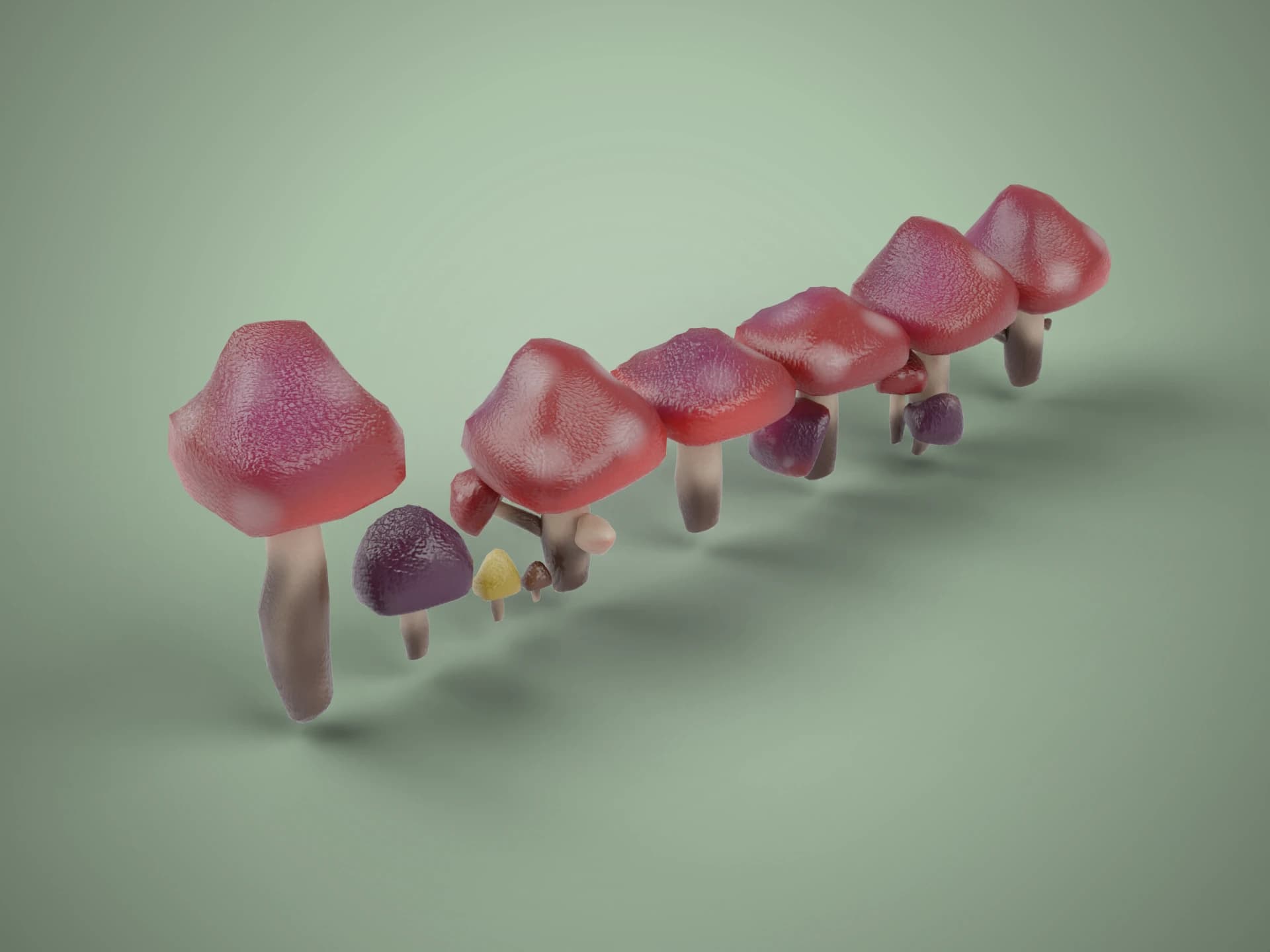 Wild Mushroom Set 3D Model