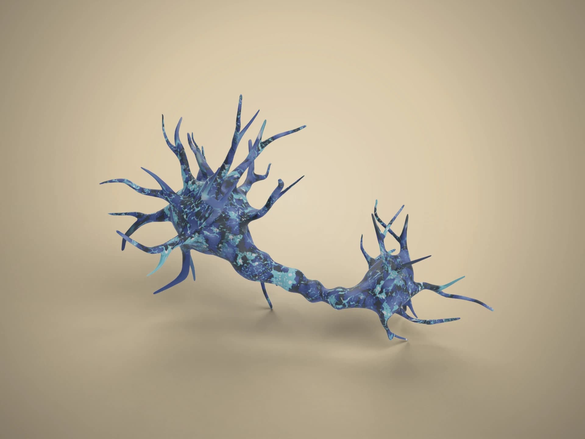 Realistic Neuron Nerve Cell 3D Model