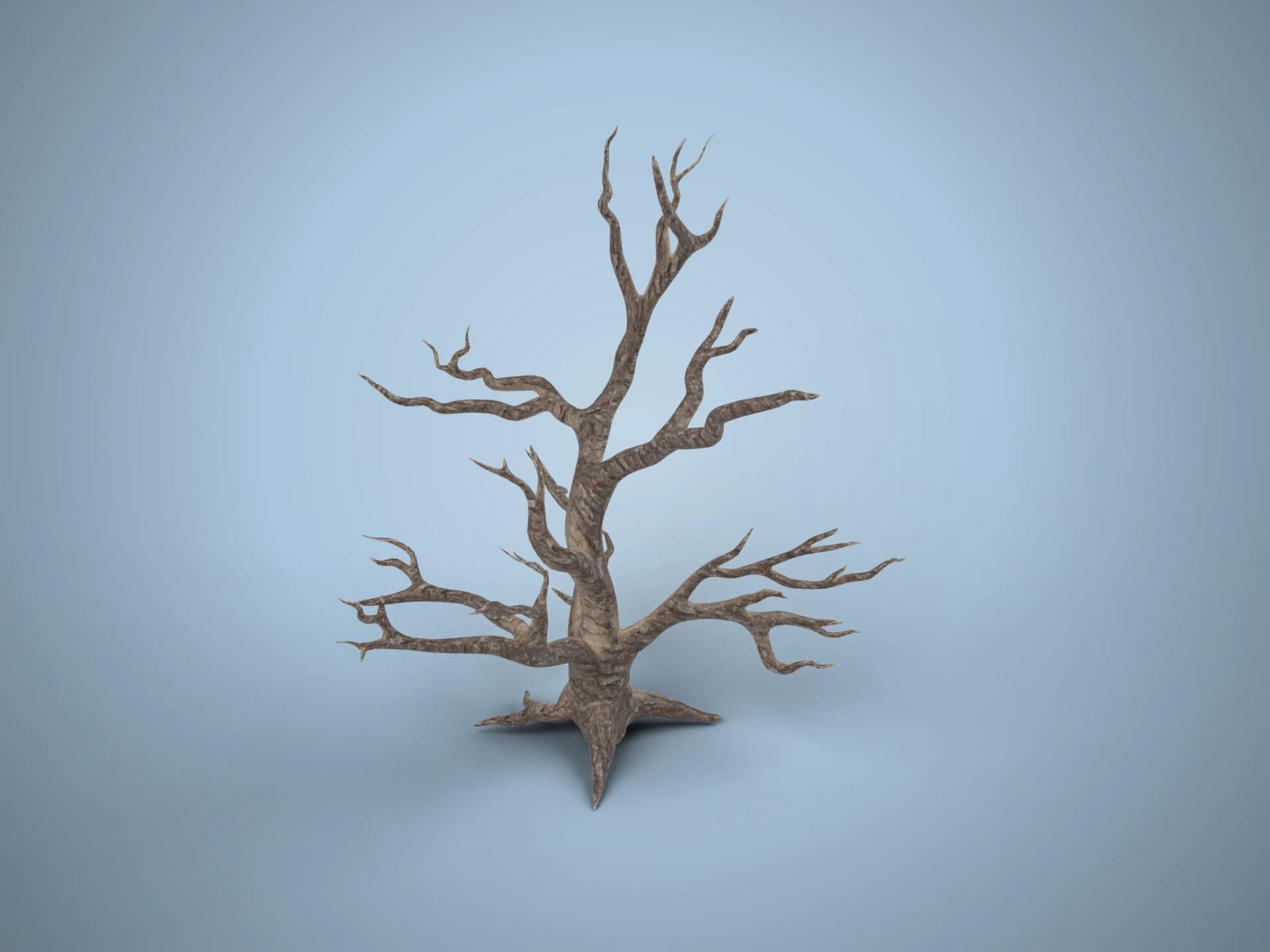Dead Twisted Crooked Tree 3D Model