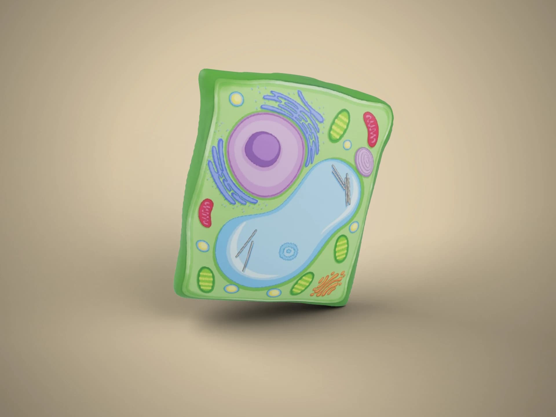 Plant Cell with Organelles 3D Model