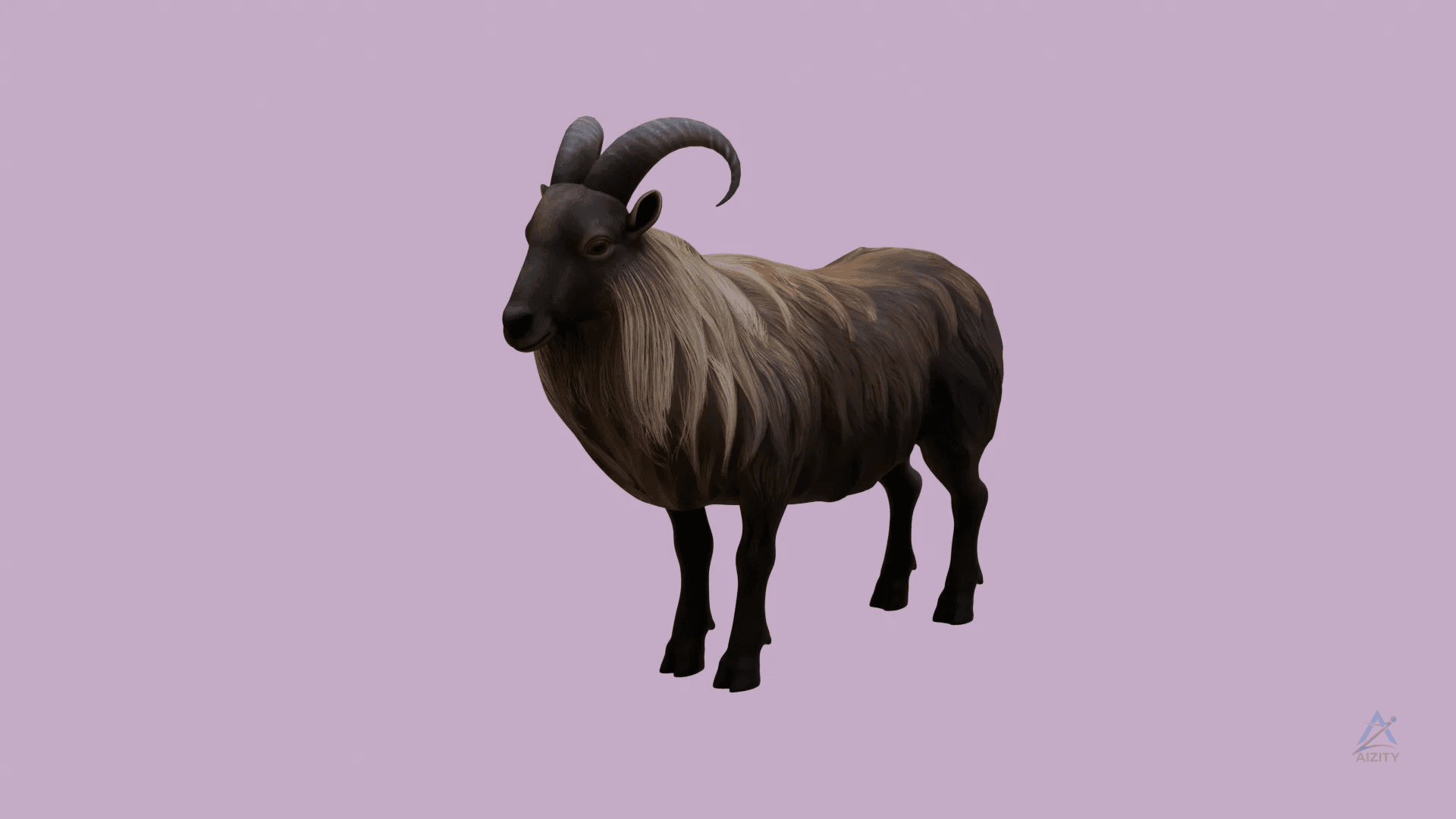 RAM 3D Model