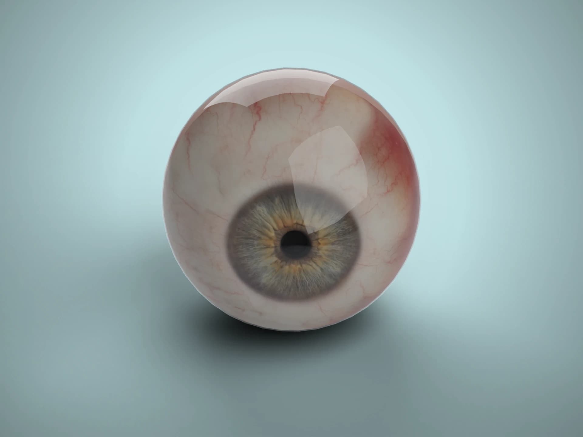 Realistic Human Eyeball 3D Model